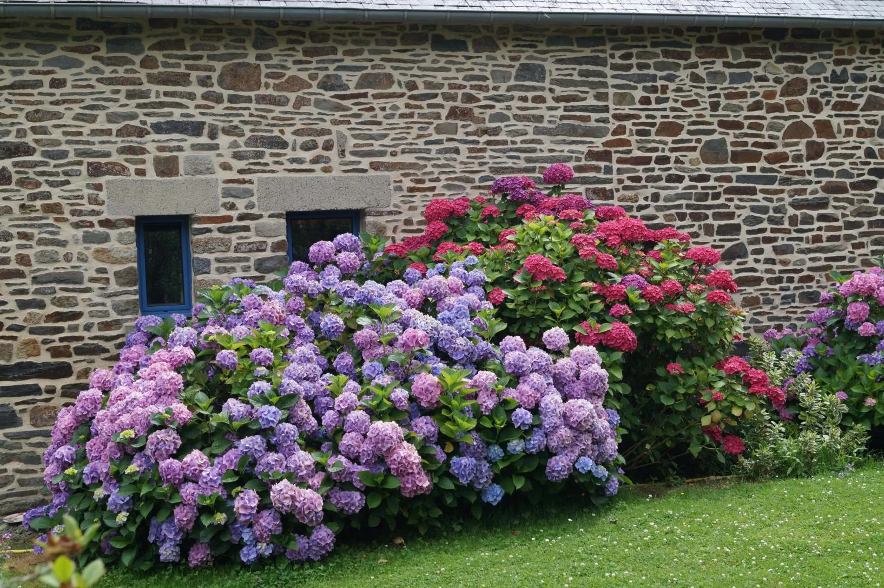 Summer in Chambres d'Hôtes La Loubatais