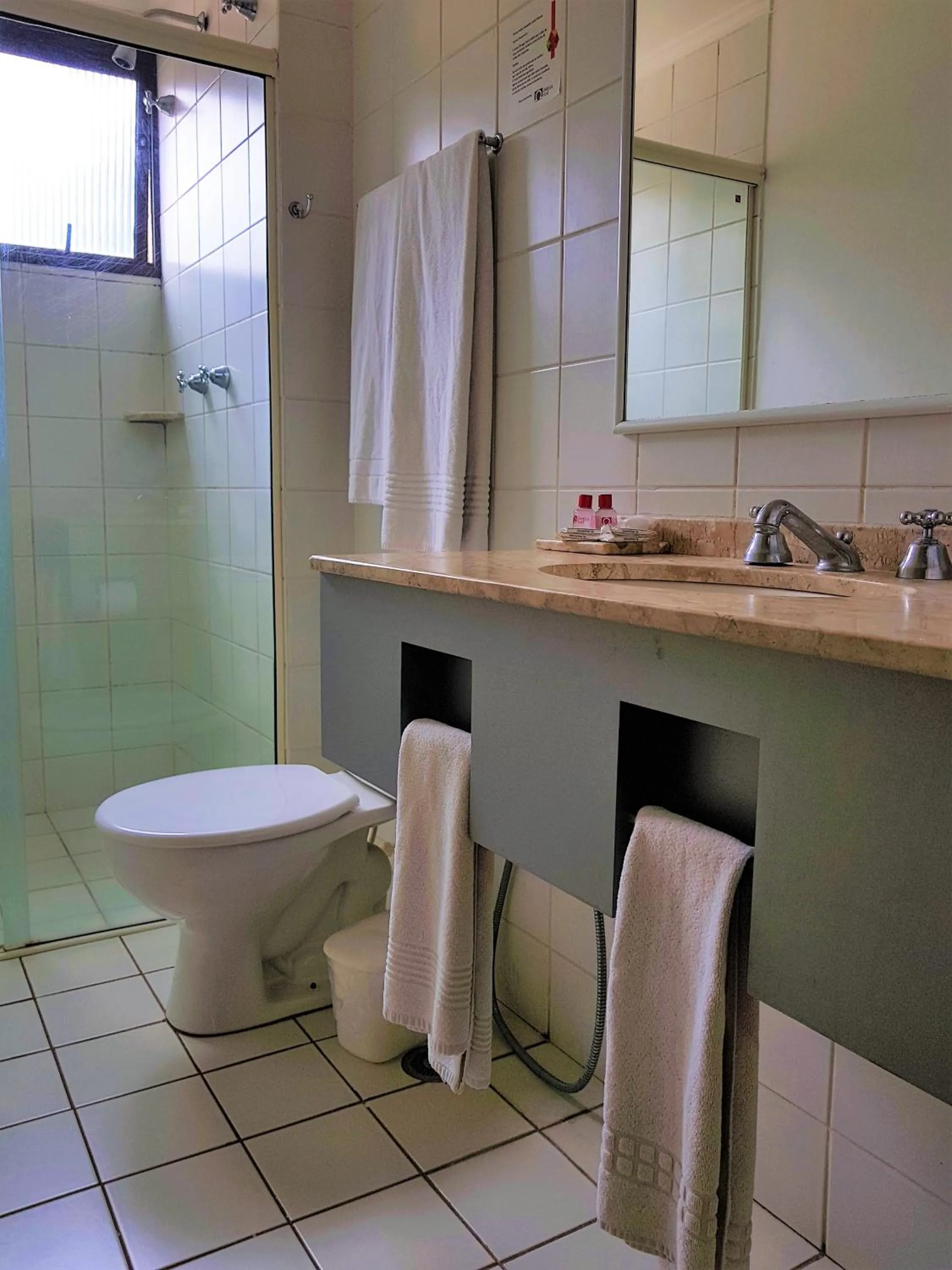 Toilet in Omega Flat