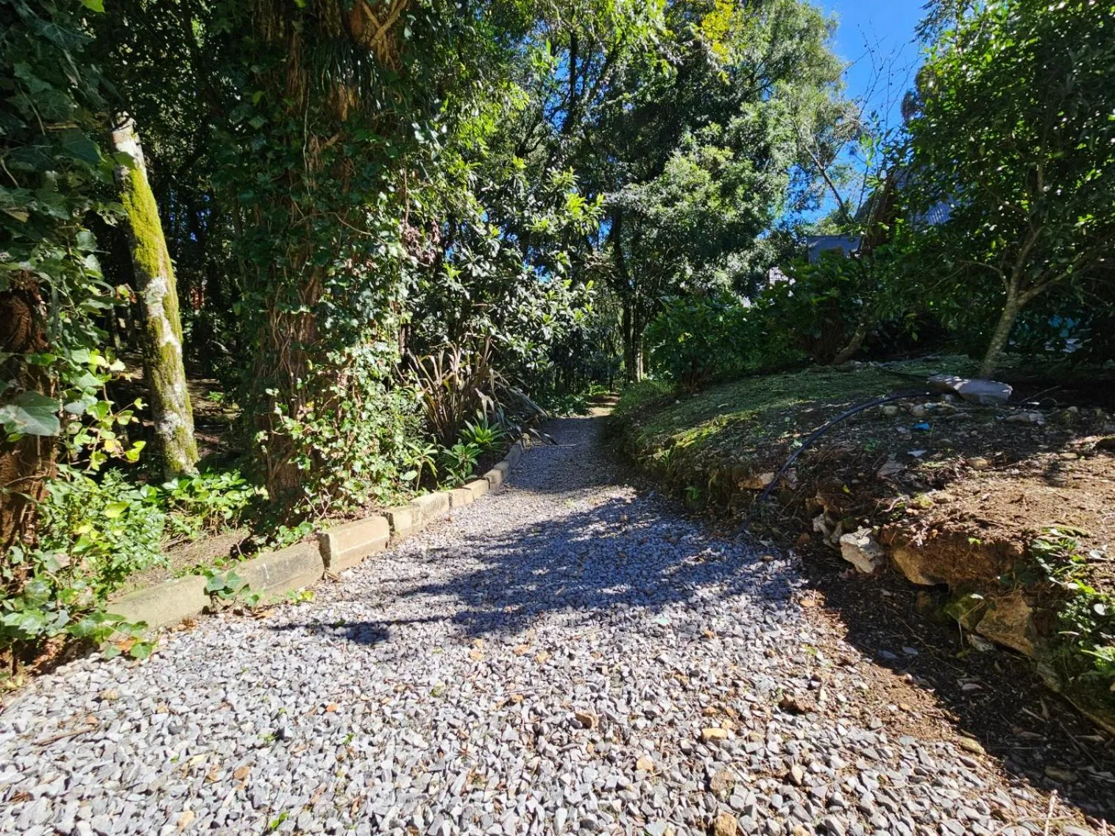 Garden in Hotel Pousada Cabana da Mata