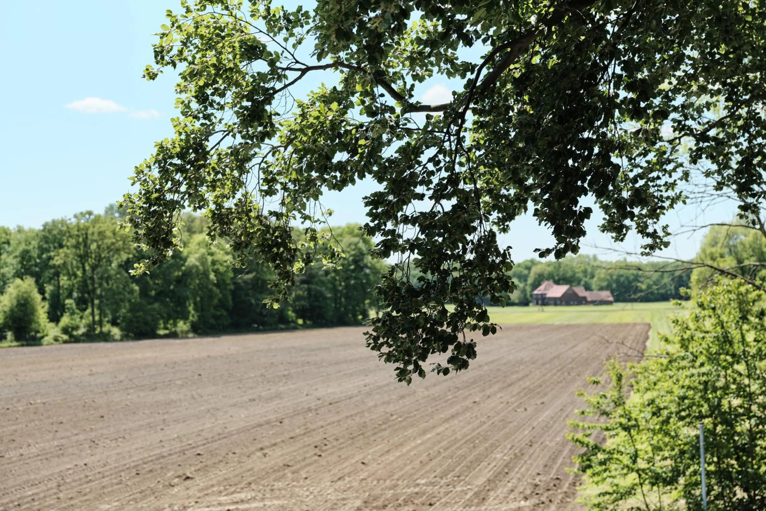 Property building in Beisenbusch Hotel & Restaurant