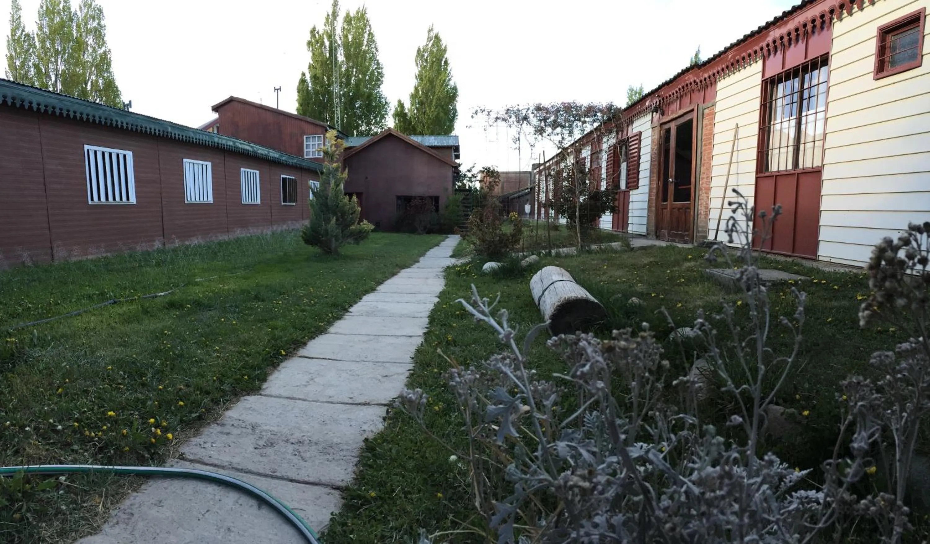 Garden in Hostel Los Pioneros