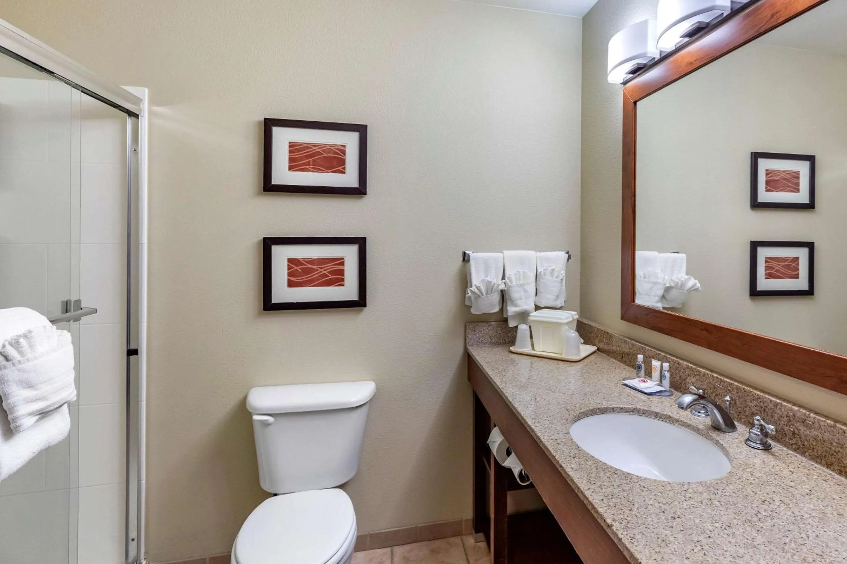 Bathroom in Comfort Inn Evansville-Casper