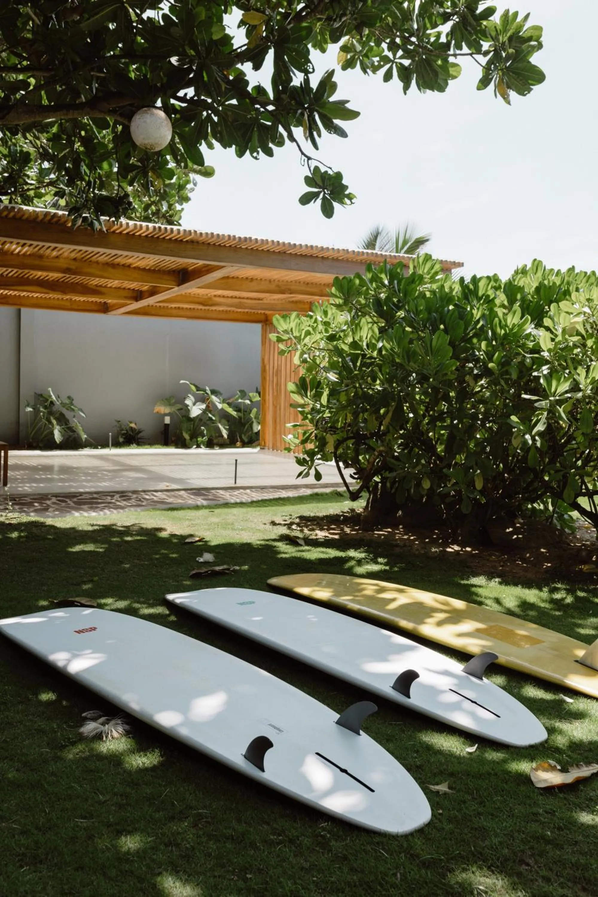 Solas Surf