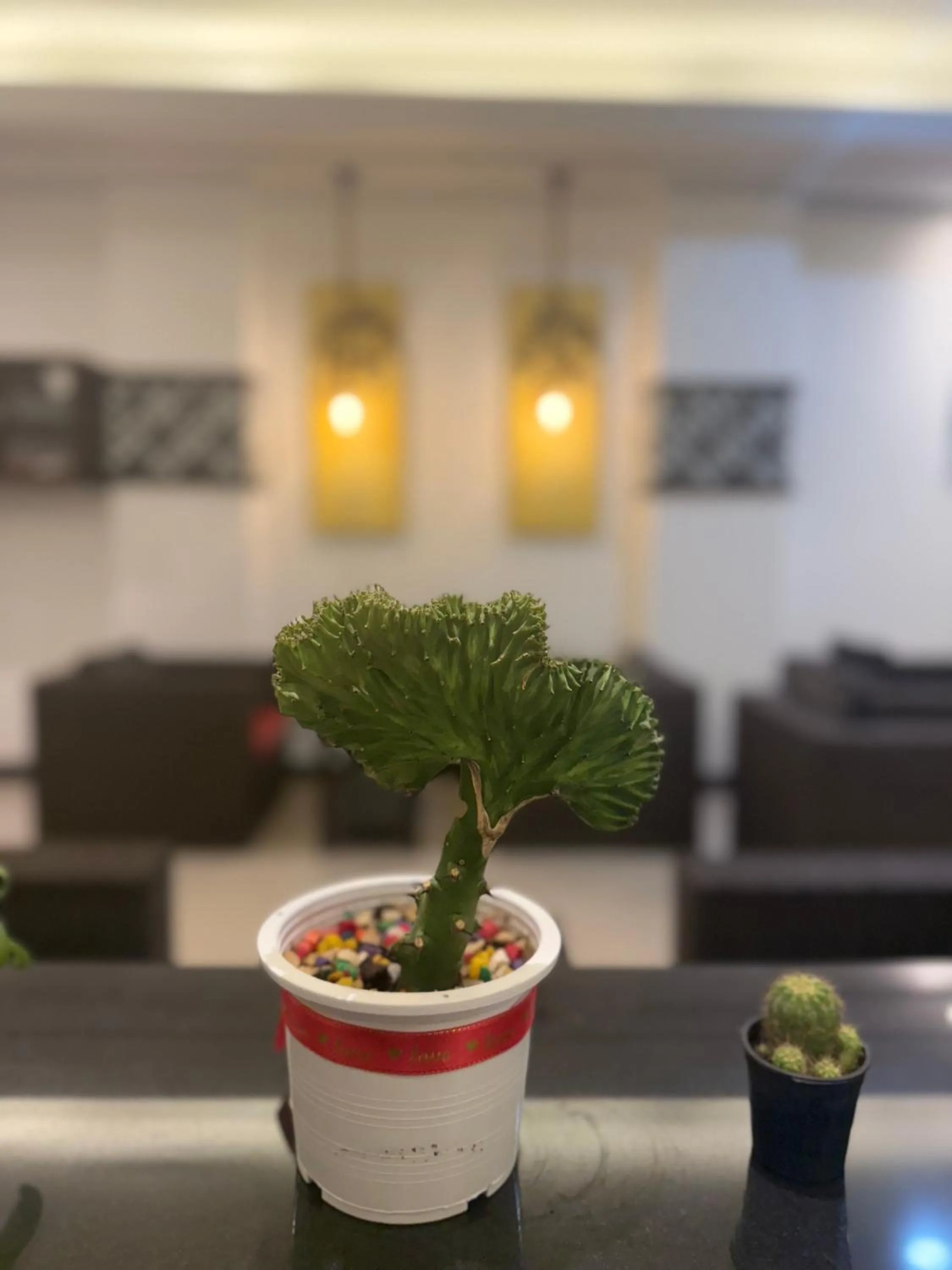 Lobby or reception in Star House Patong