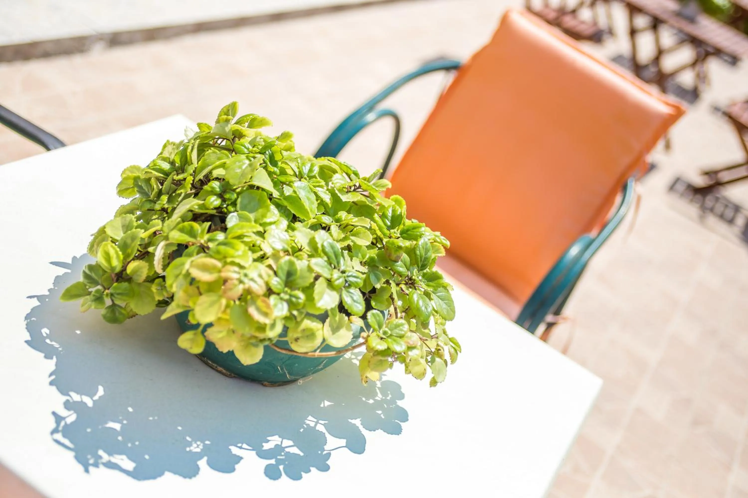 Decorative detail in Iatridis Studios Faliraki