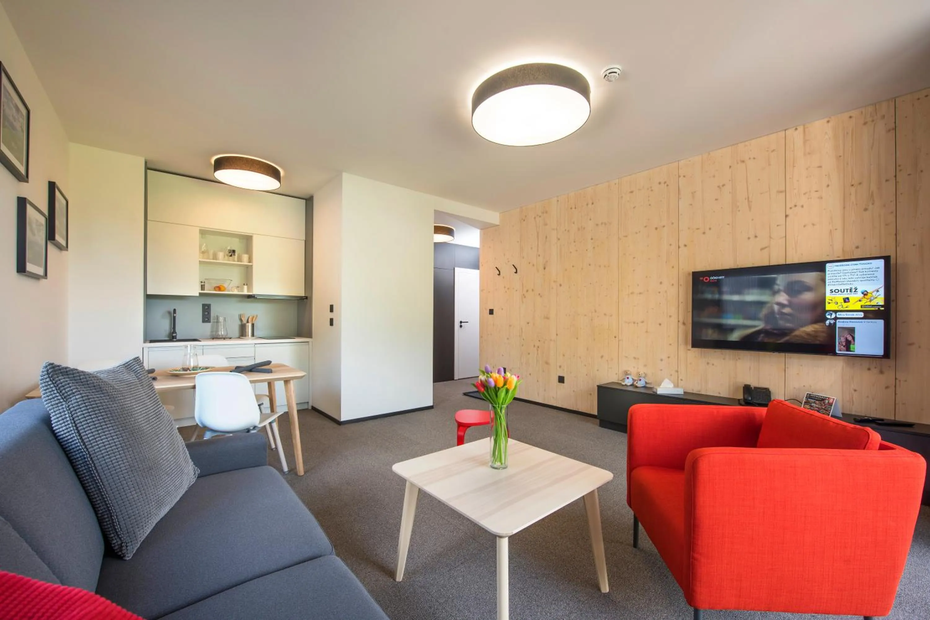 TV and multimedia in Demänová Rezort