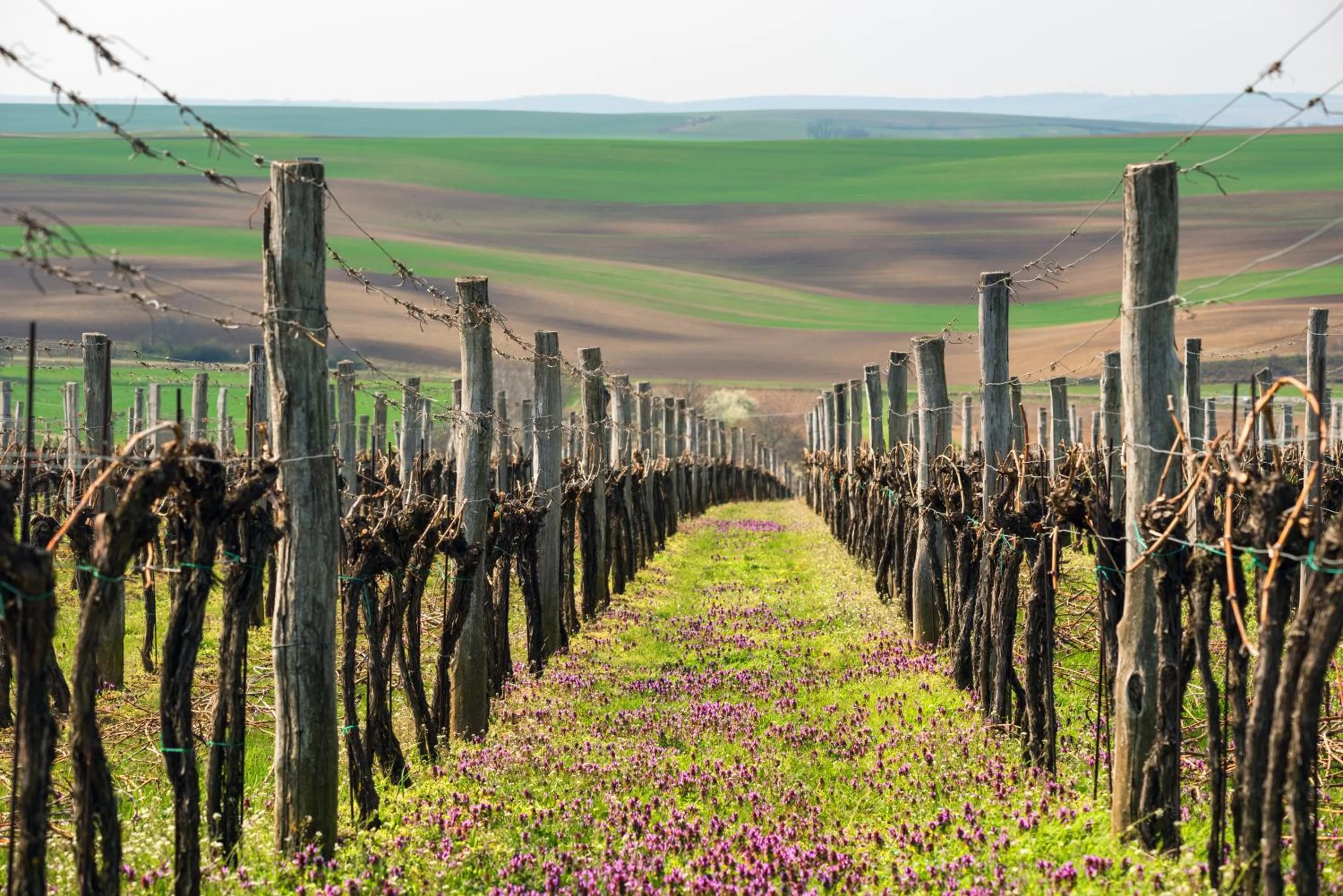 Natural landscape in Wellness Hotel IRIS