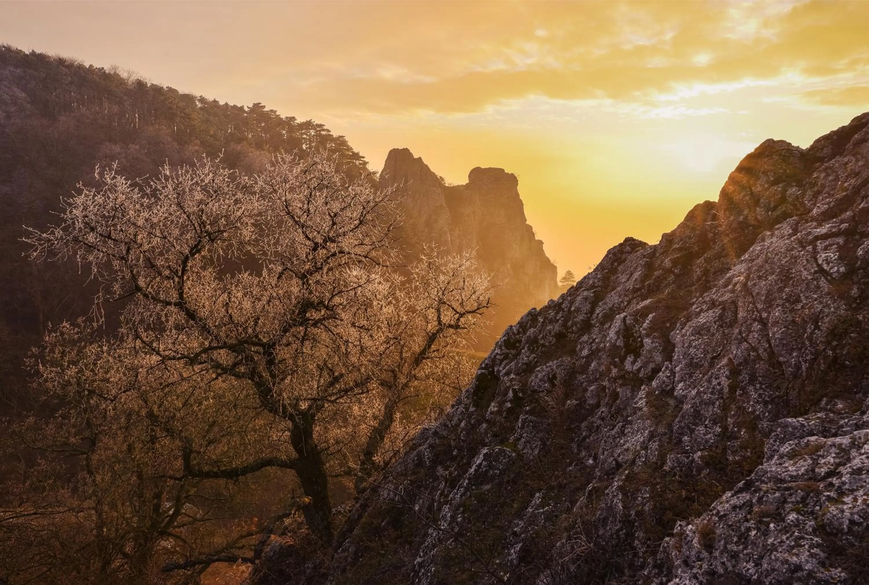 Natural landscape in Wellness Hotel IRIS