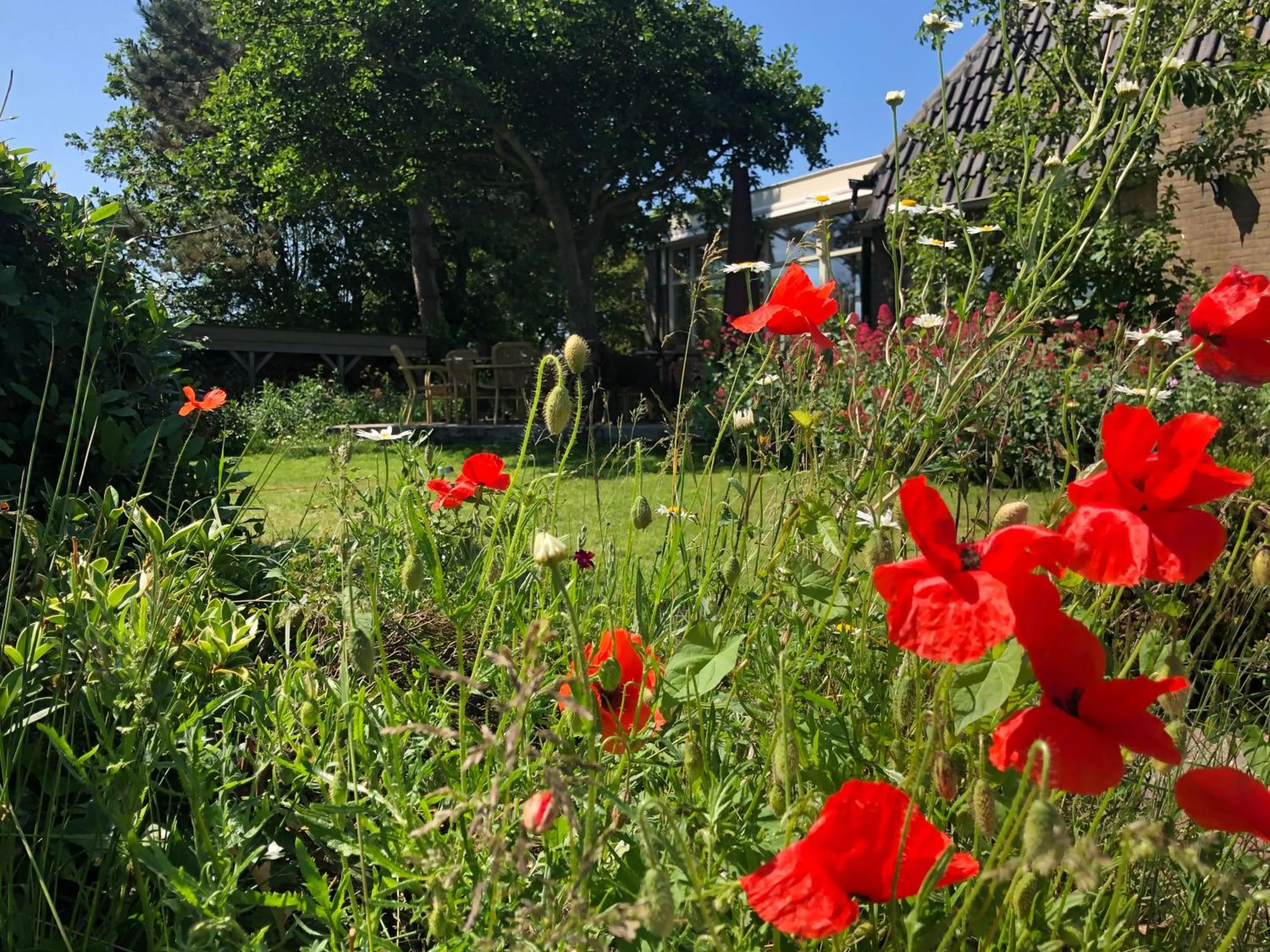 Garden in Hotel De Horper Wielen