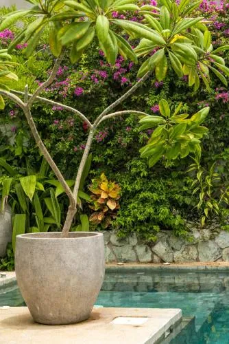 Zen Garden Tamarindo - Adults Only