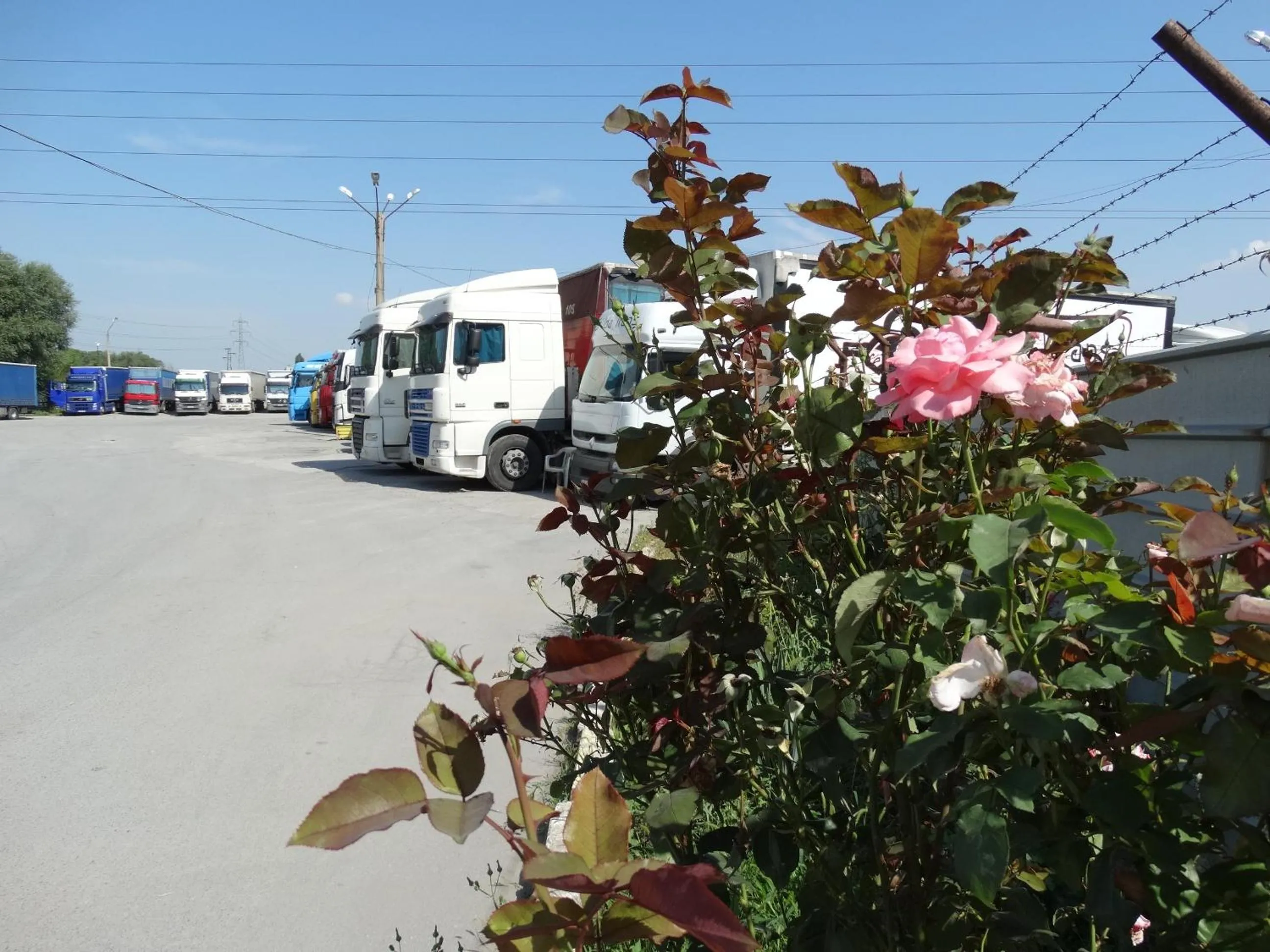 Other in Hotel Simona Complex