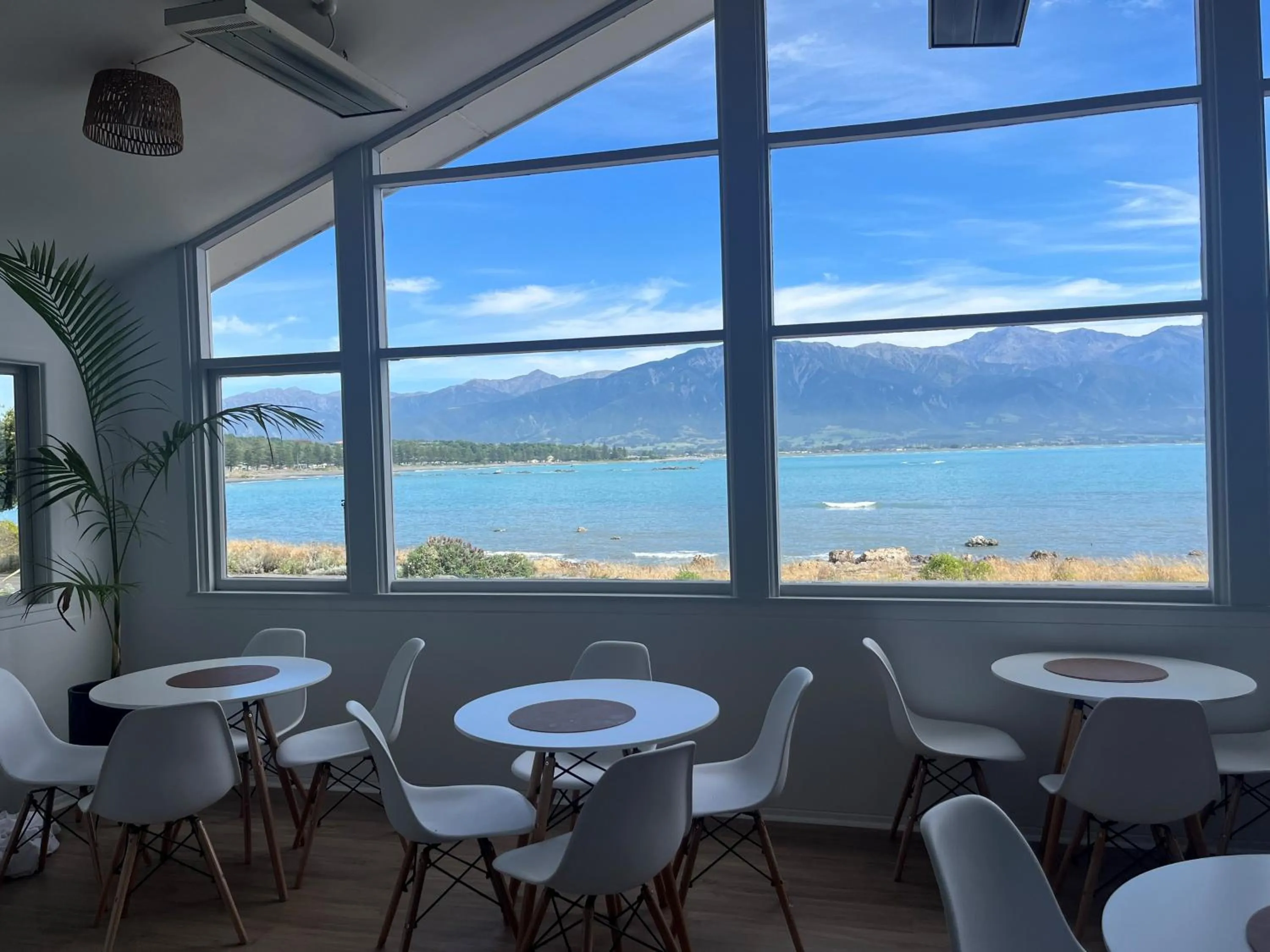 Communal kitchen in Kaikoura Seaside lodge