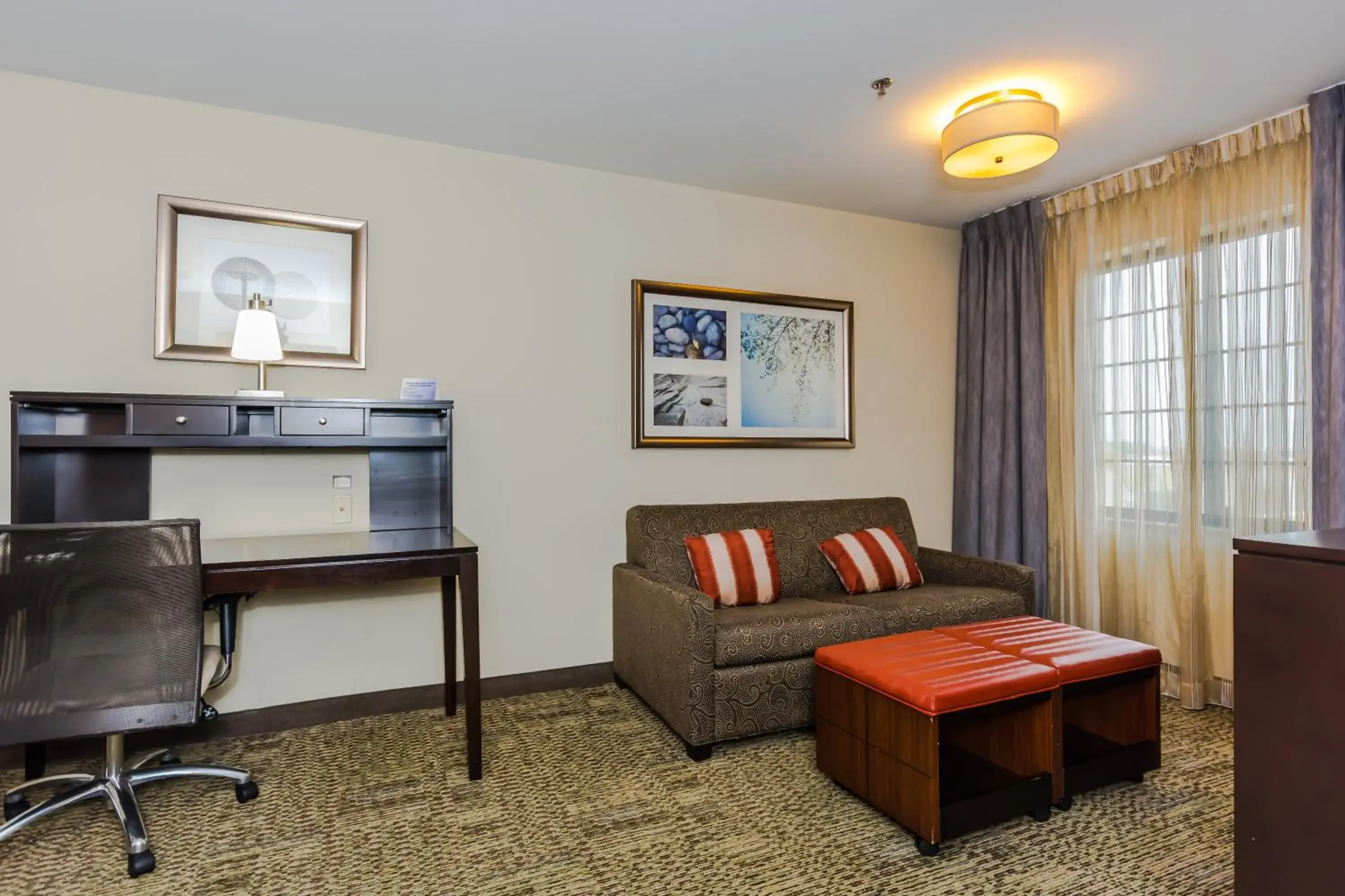 Queen Studio - Disability Access in Staybridge Suites Grand Forks by IHG Queen Studio - Disability Access in Staybridge Suites Grand Forks by IHG