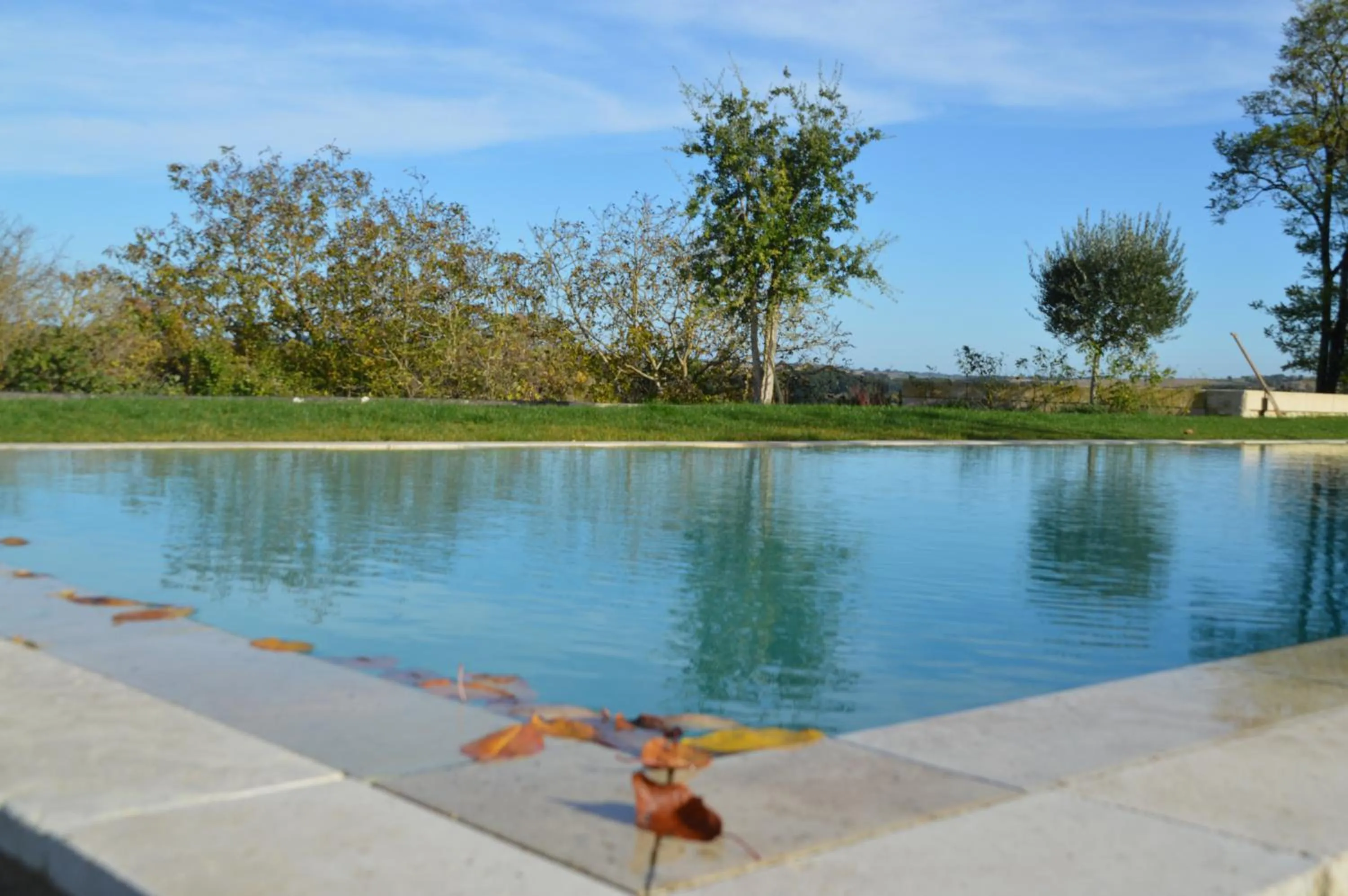 Natural landscape in B&B La Mirande de Saint-Clar