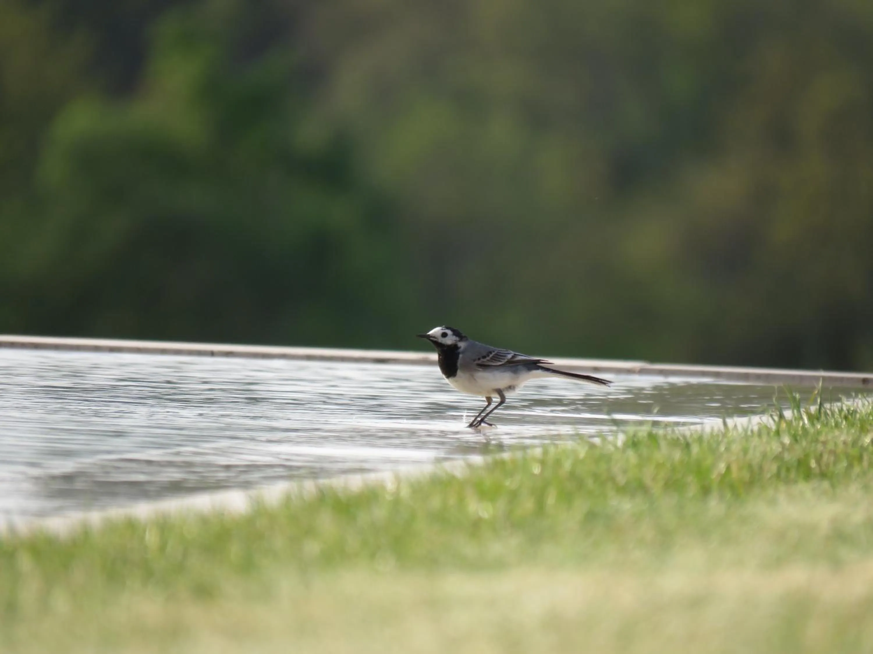 Day in B&B La Mirande de Saint-Clar