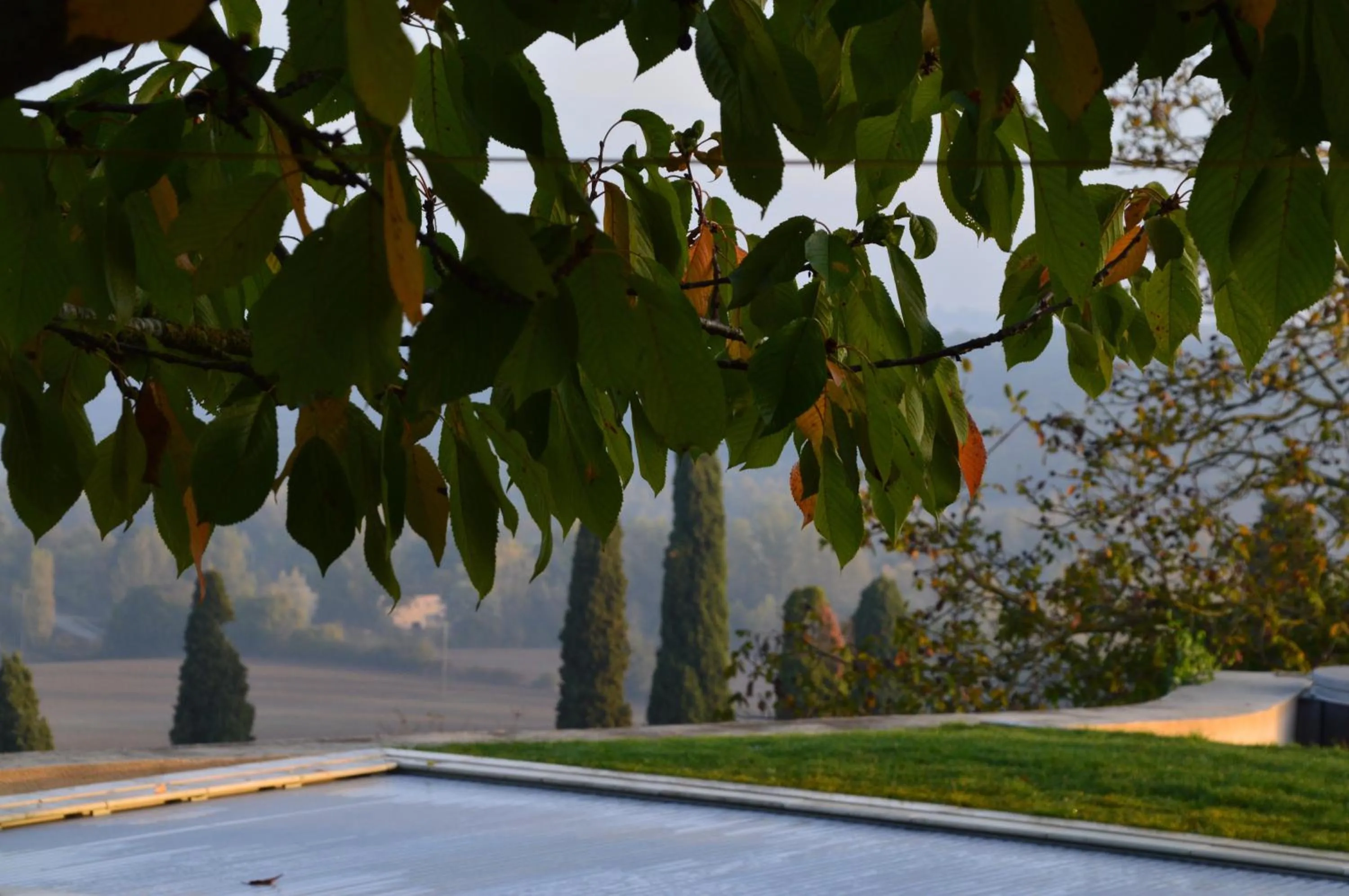 Garden in B&B La Mirande de Saint-Clar