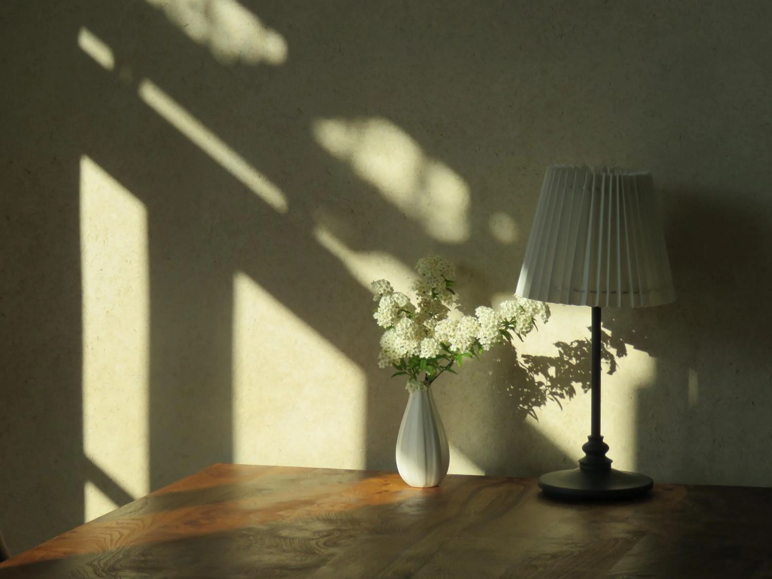 Restaurant/places to eat in B&B La Mirande de Saint-Clar