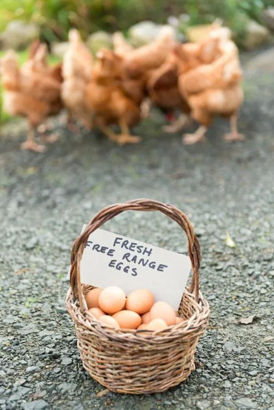 On-site shops in Russell-Orongo Bay Holiday Park