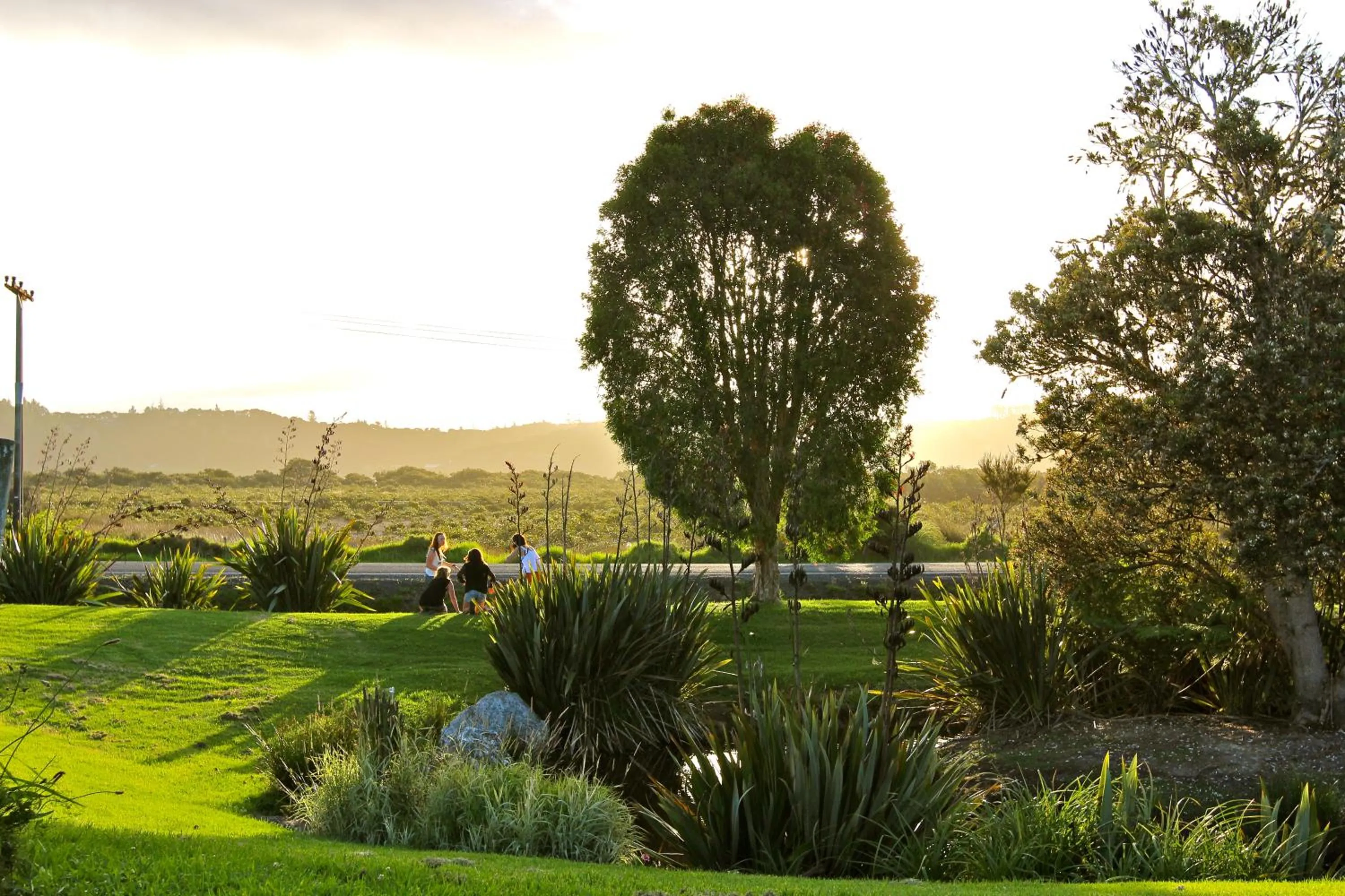 Garden in Russell-Orongo Bay Holiday Park