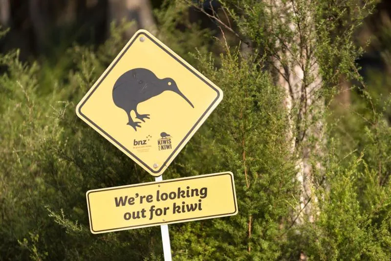 Animals in Russell-Orongo Bay Holiday Park