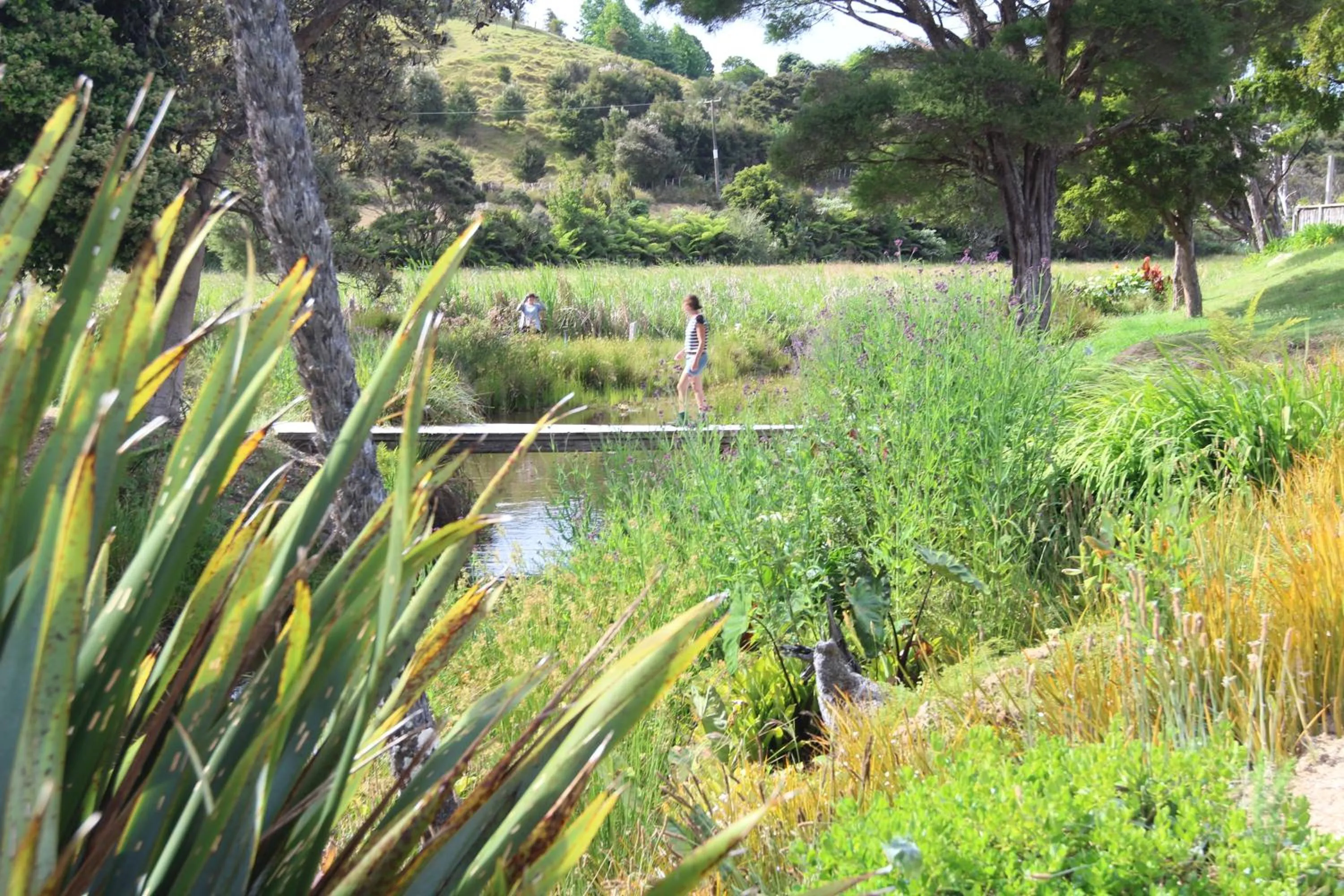 Property building in Russell-Orongo Bay Holiday Park