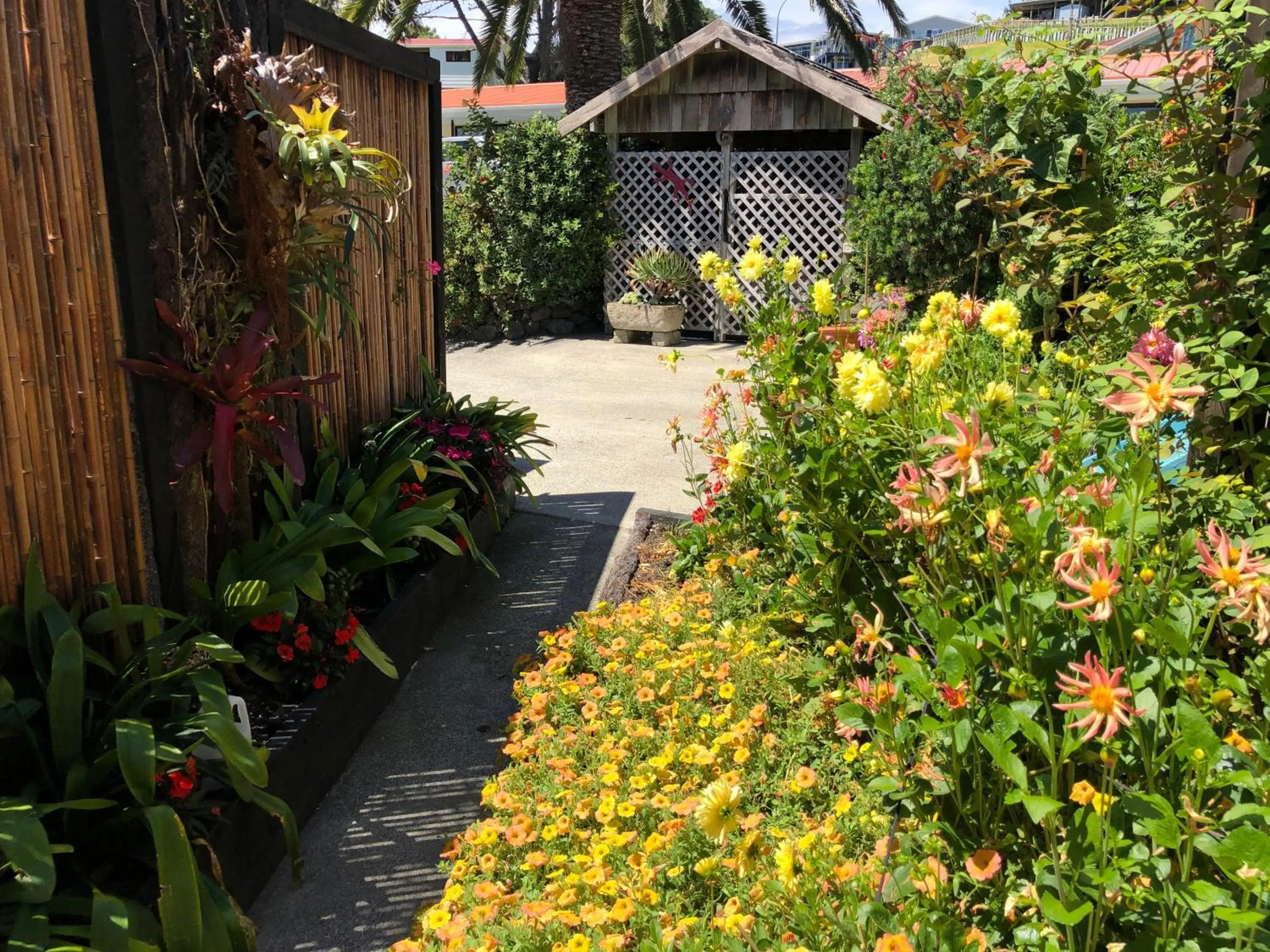 Garden in Opononi Lighthouse Motel