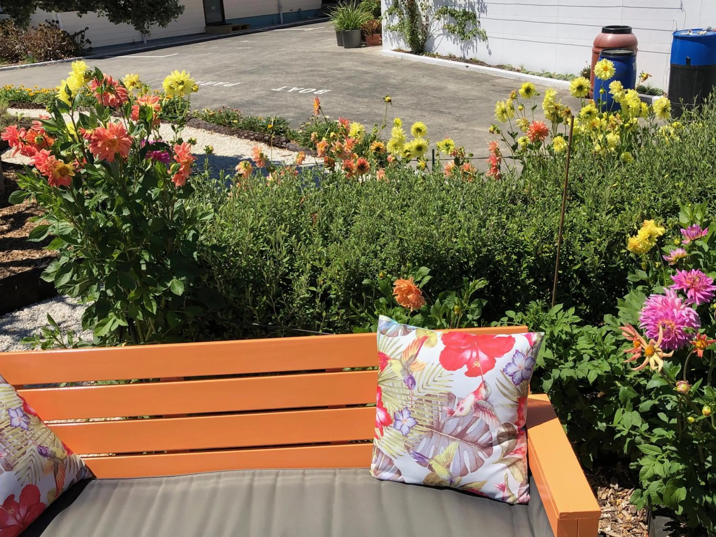 Garden in Opononi Lighthouse Motel