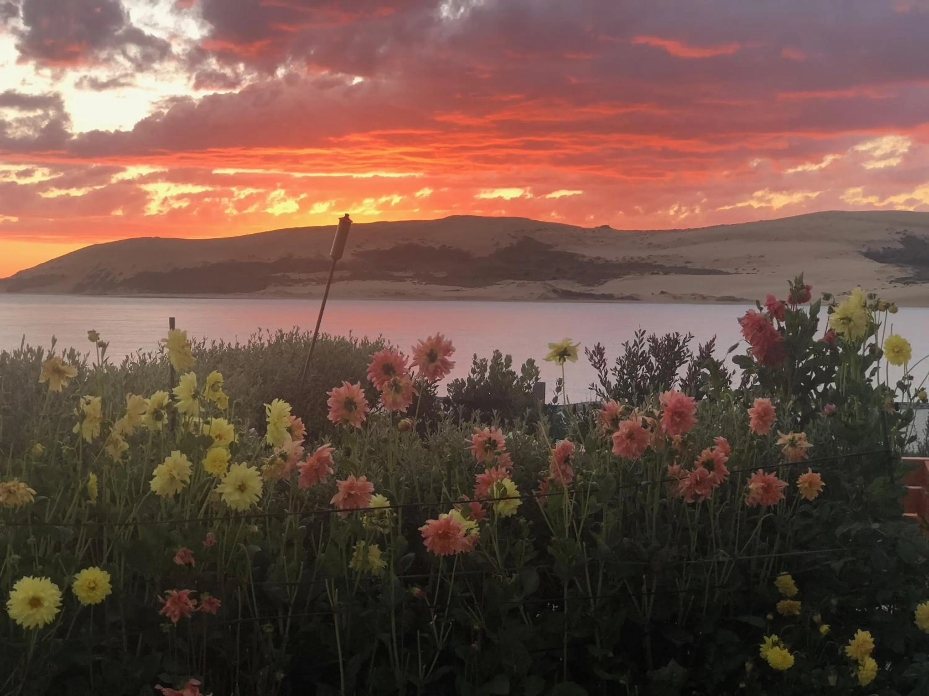 Natural landscape in Opononi Lighthouse Motel