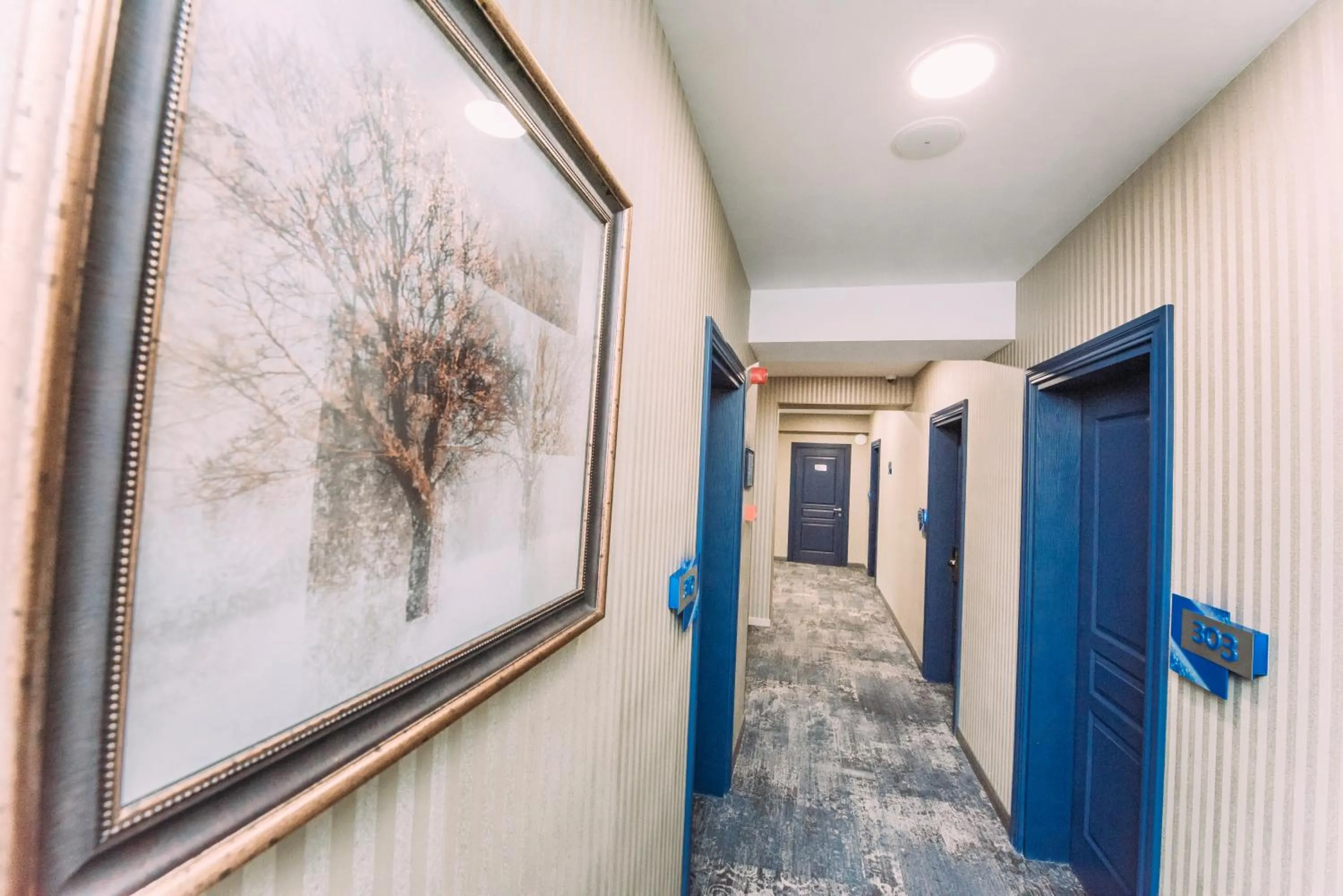 Other in Hotel Sapphire Bakuriani