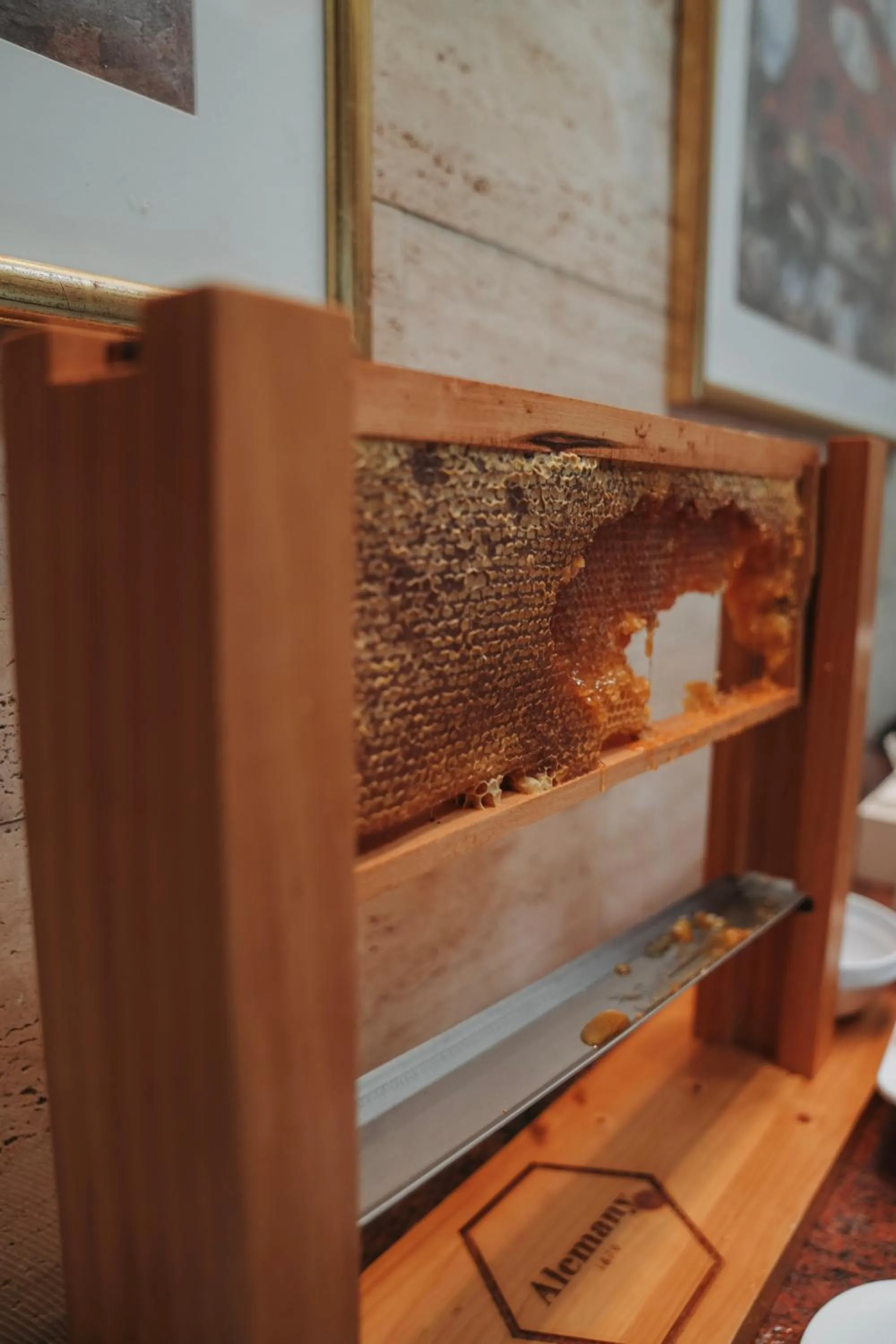 Hotel Hochsauerland 2010