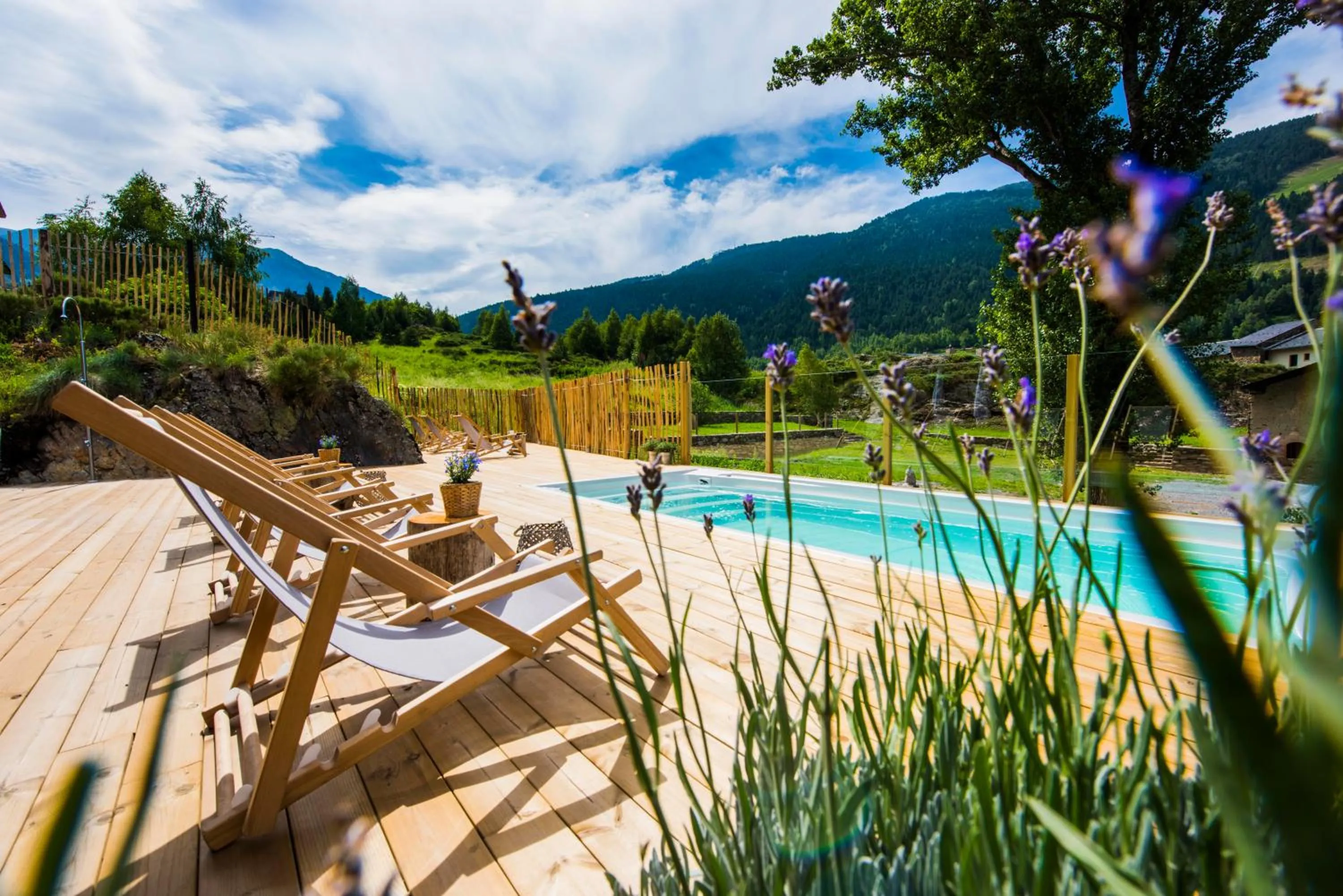 Natural landscape in Mountain Hostel Tarter