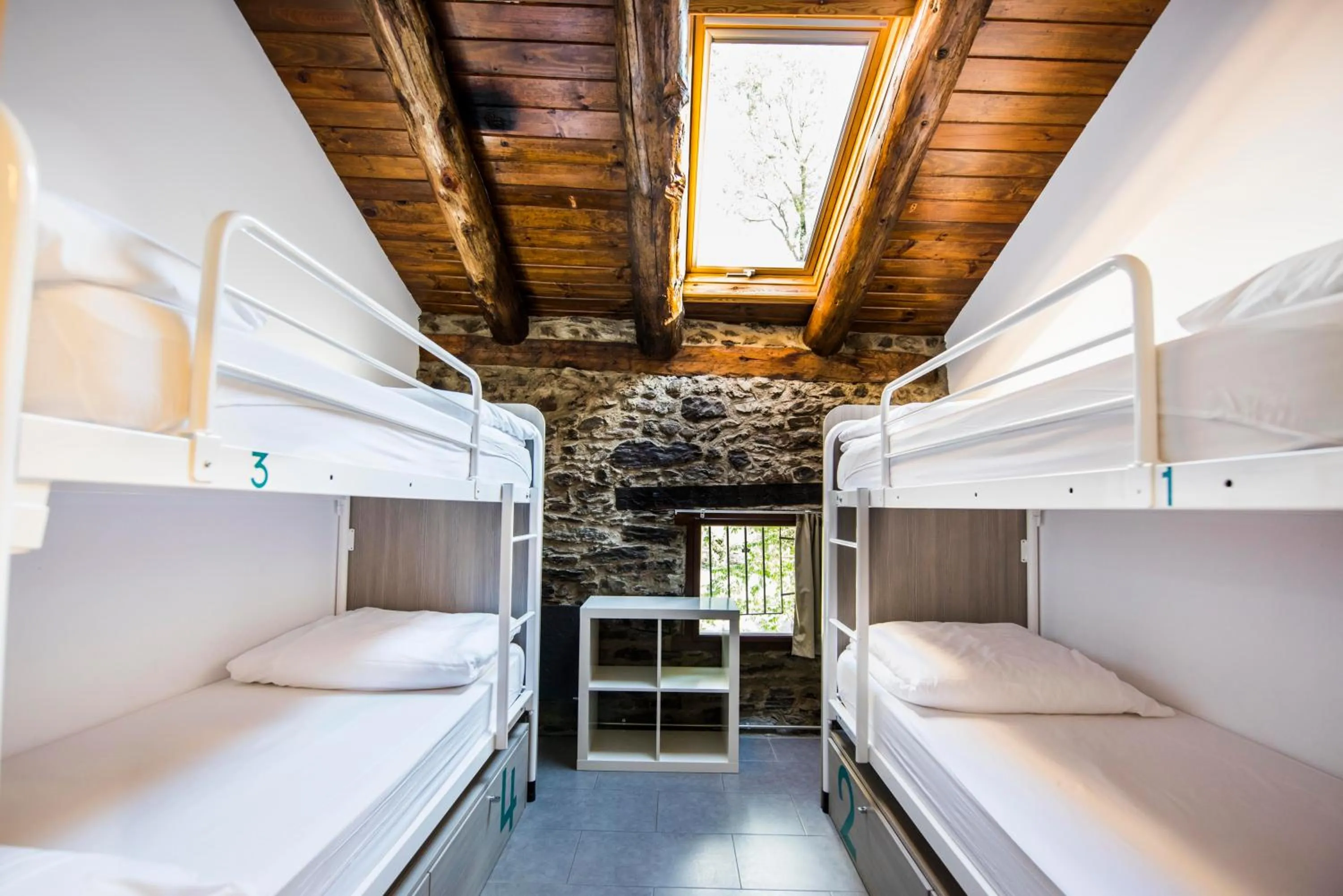 Photo of the whole room, Bed in Mountain Hostel Tarter