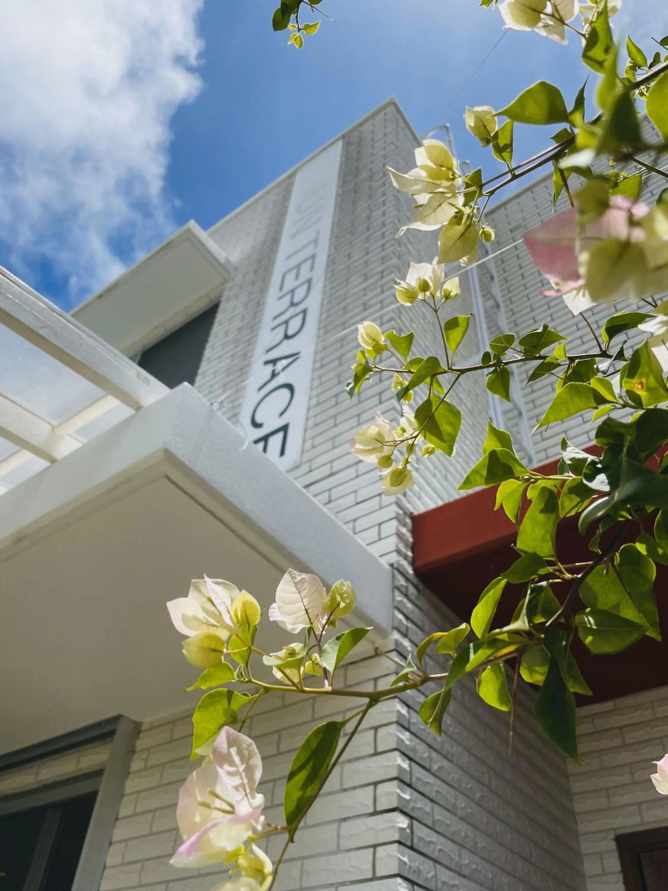 HOSTEL SunTerrace Ishigaki