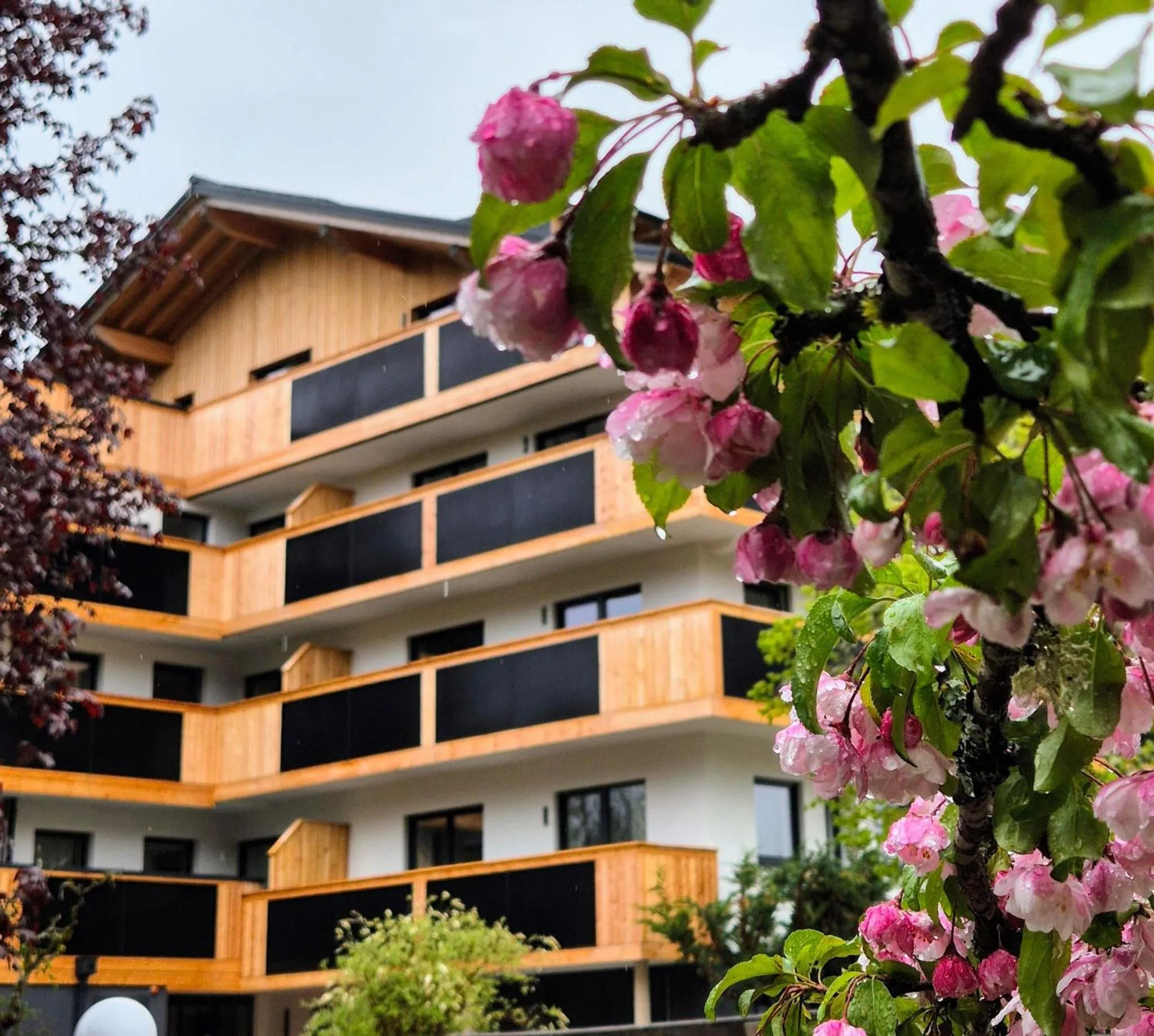 Property building in Waldrand Apartments