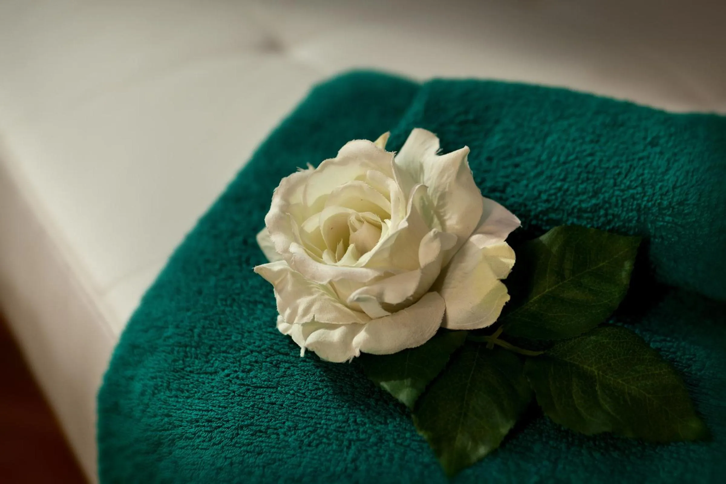 Day in GIO'EL Happiness Guest House