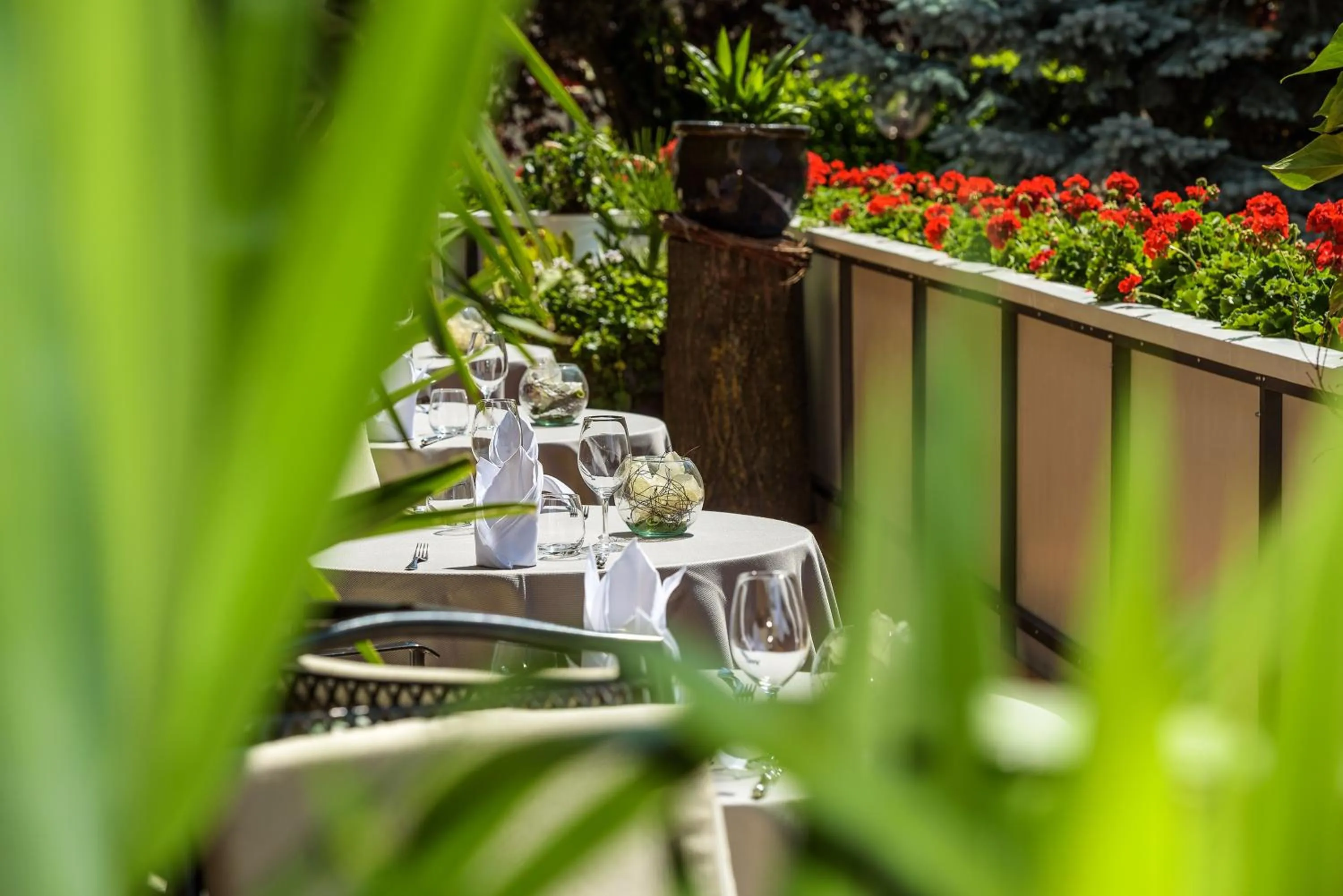 Restaurant/places to eat in Hotel Lamm