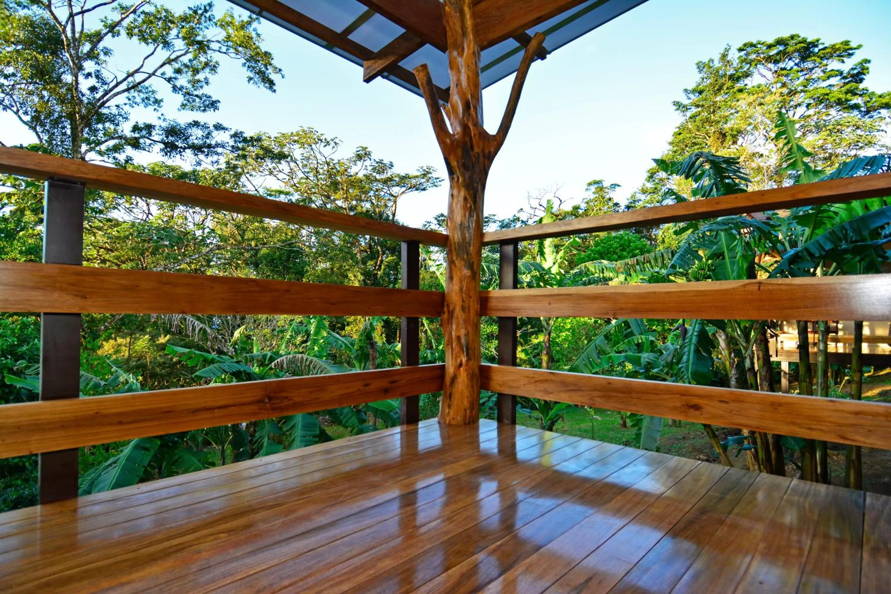 Balcony/Terrace in Aves de Tierras Altas