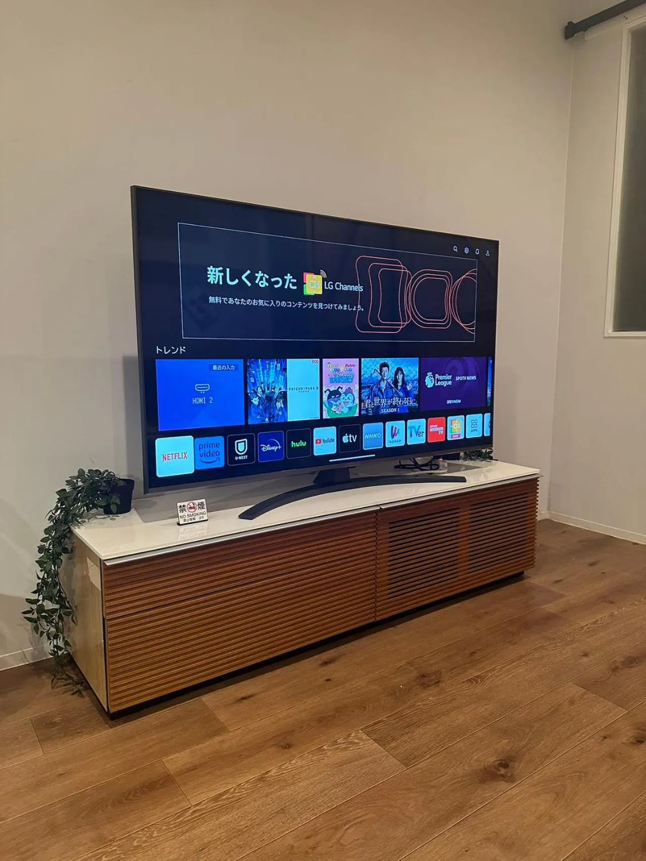 TV and multimedia in Yeah Room Namba