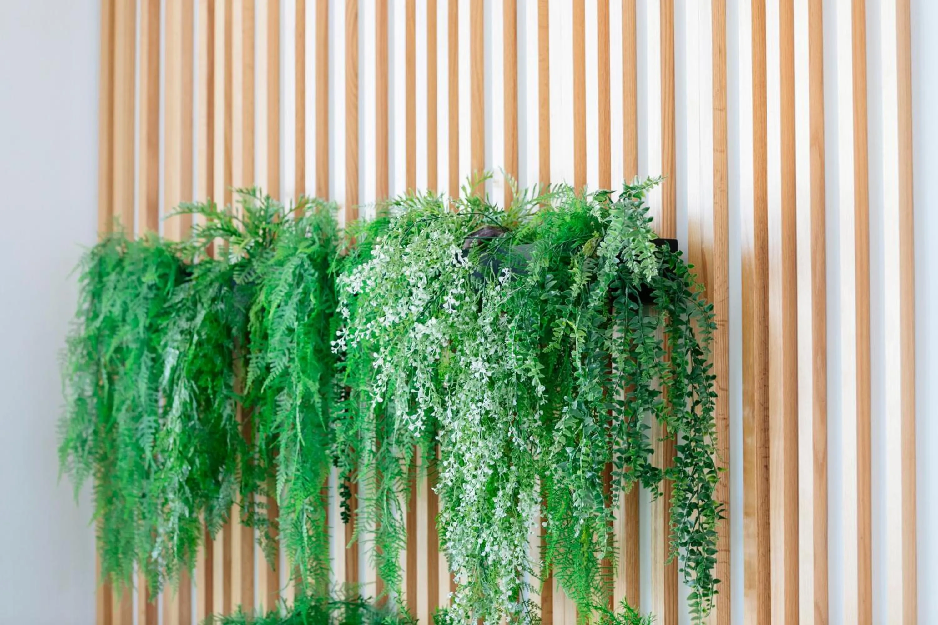 HD Parque Cristobal Tenerife