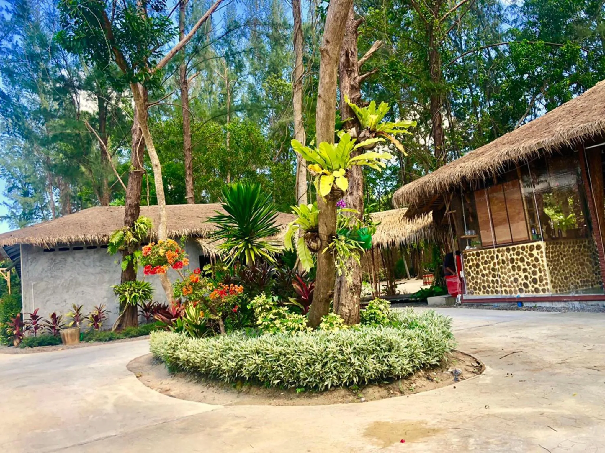 Garden in Cicada Lanta