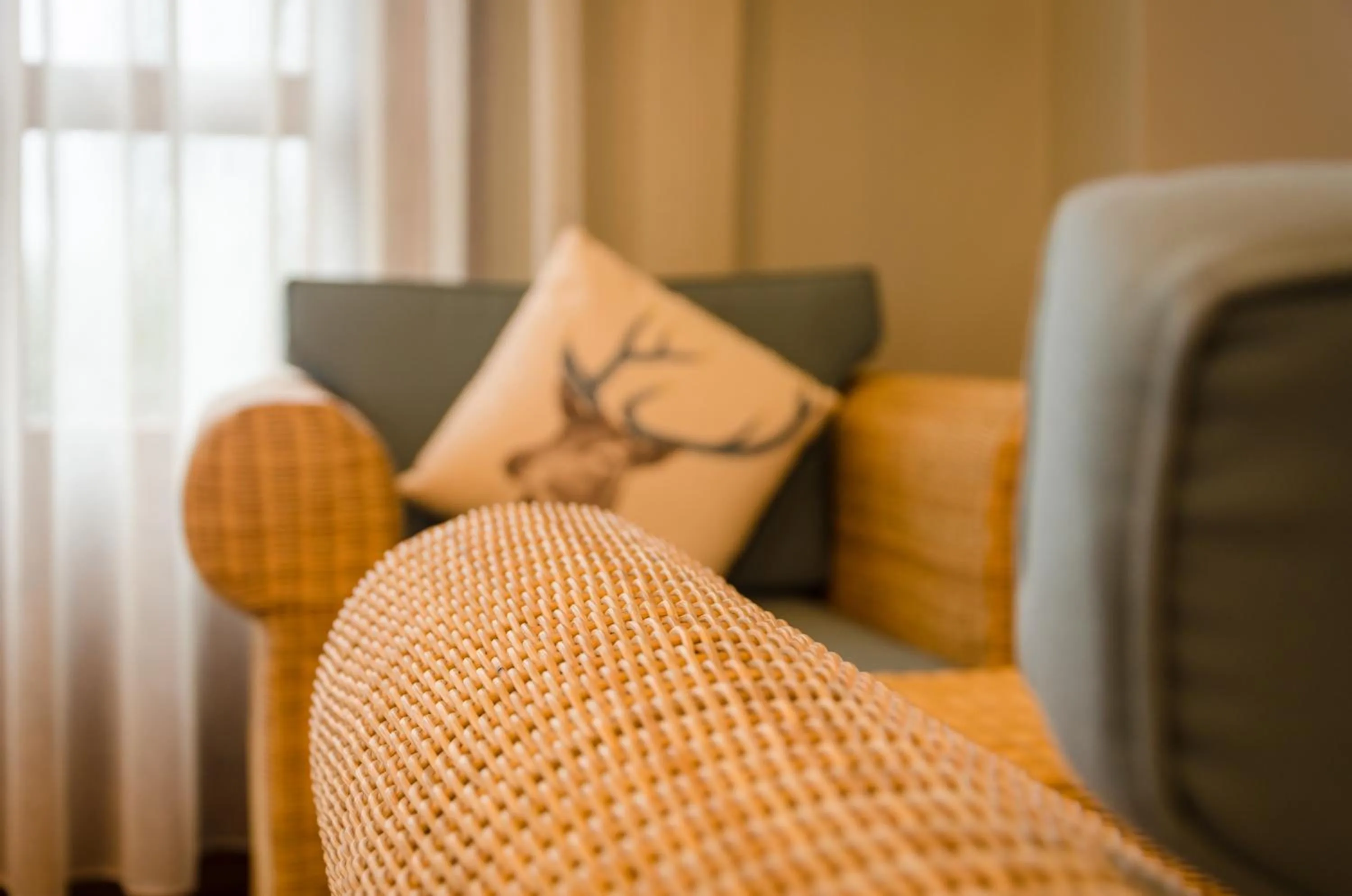 Lounge or bar in Emburara Farm Lodge