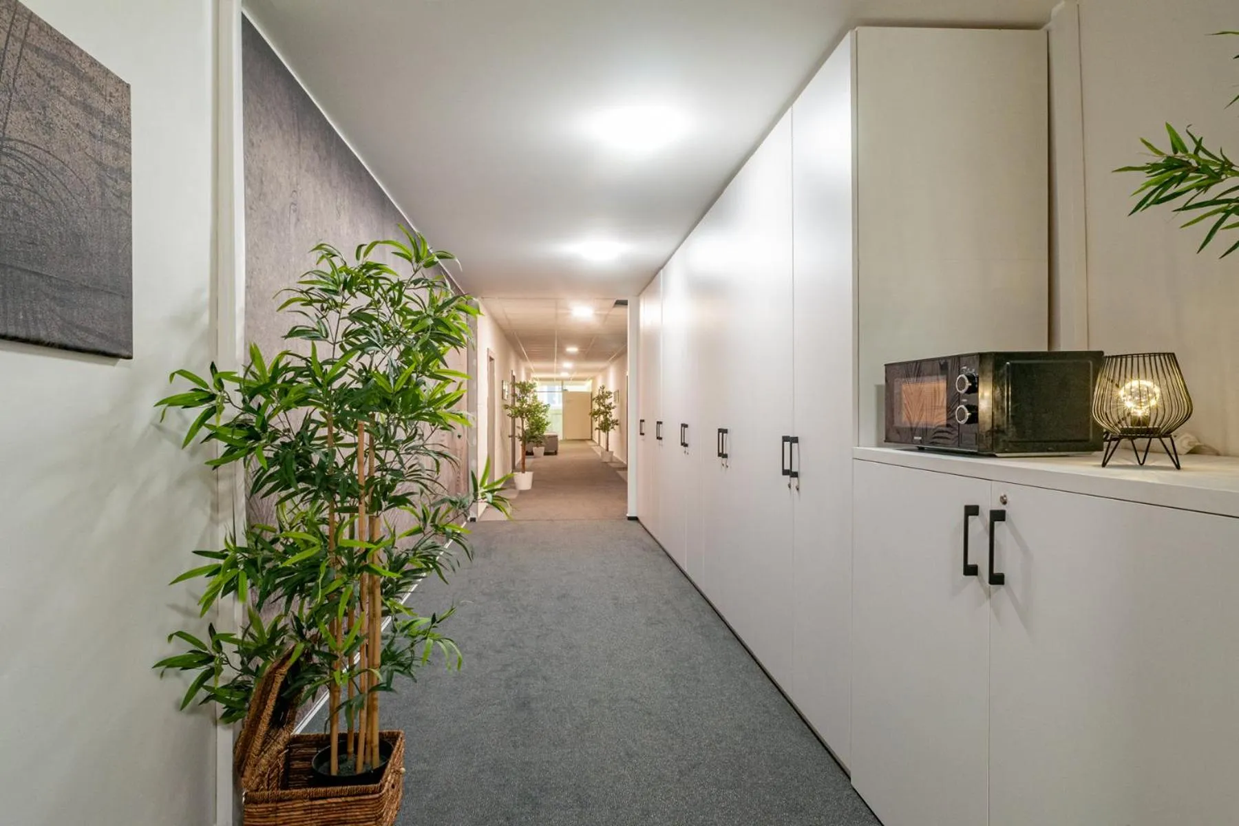 STING Apartments Havířov