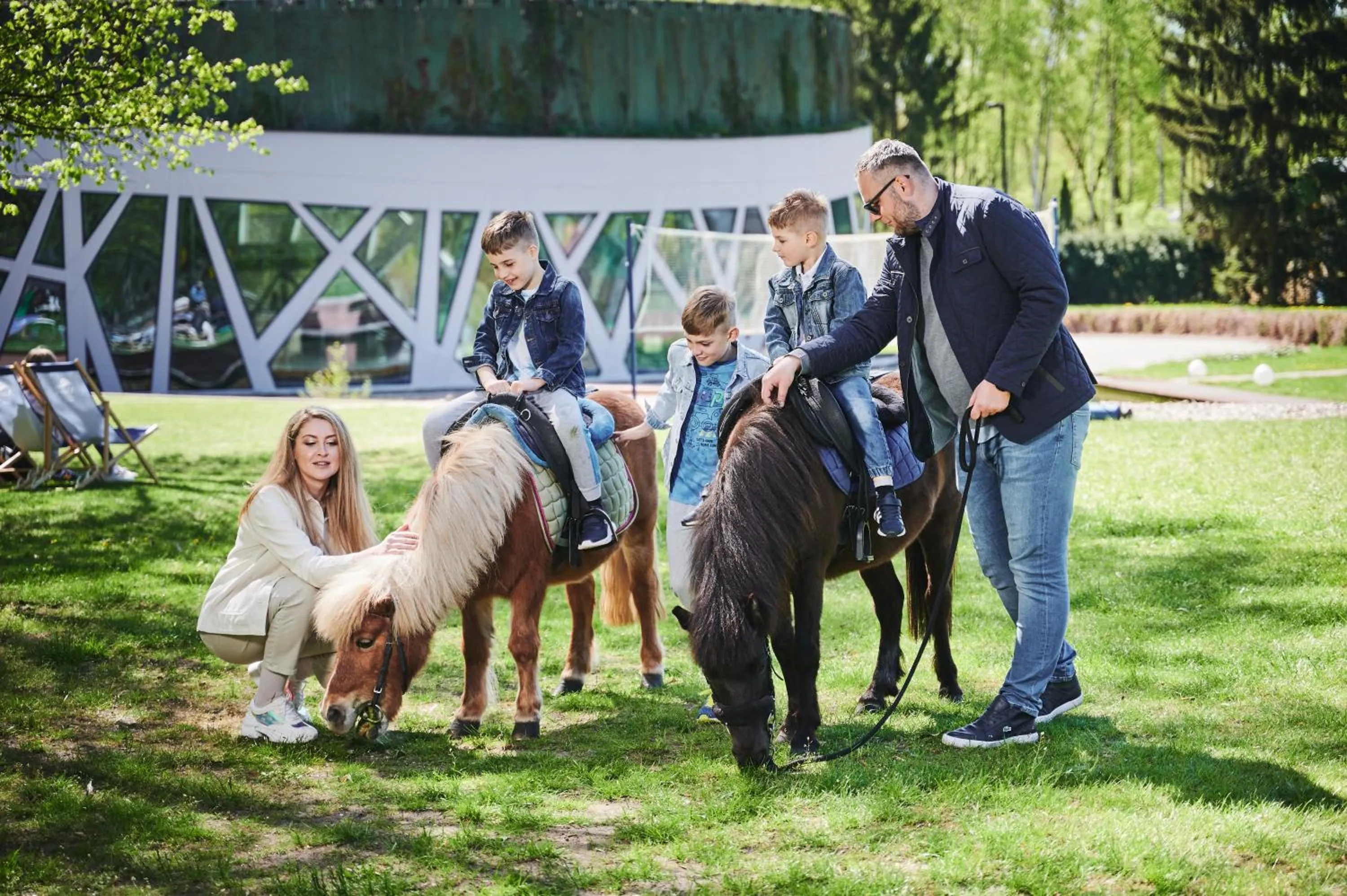 Other in Hotel Narvil Conference & Spa