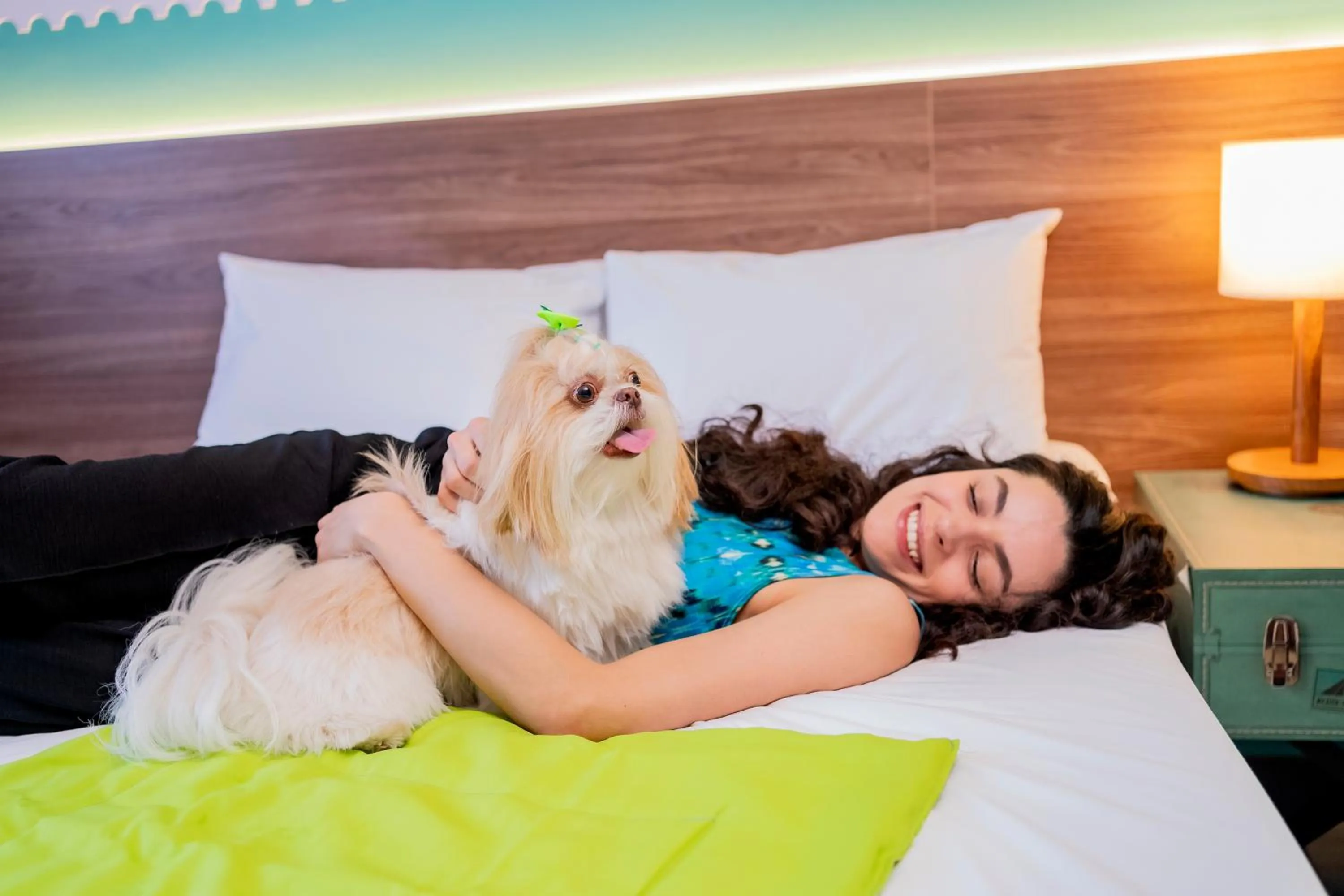 Pets in ibis Styles Sorocaba Santa Rosalia