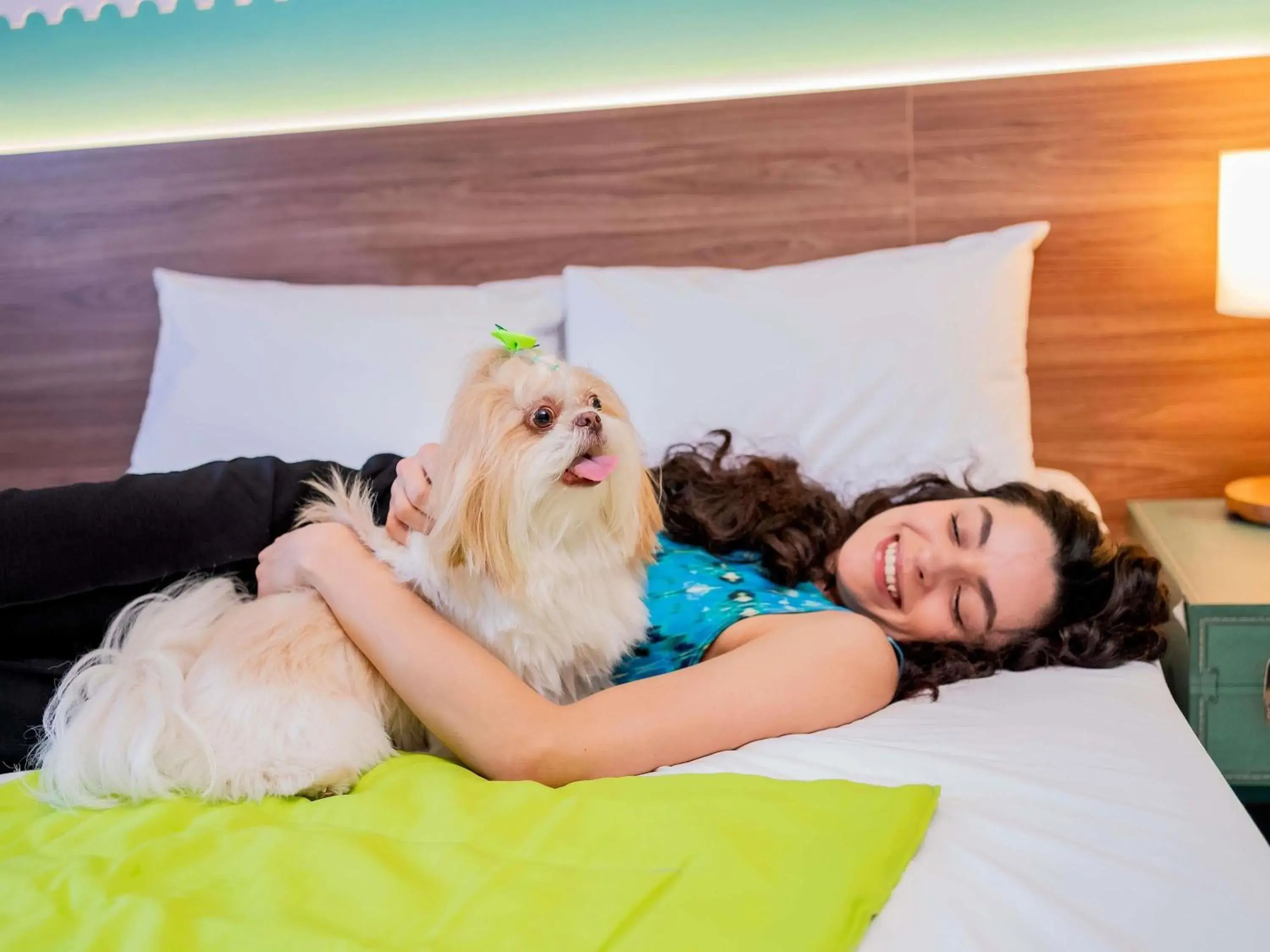 Standard Double Room in ibis Styles Sorocaba Santa Rosalia Standard Double Room in ibis Styles Sorocaba Santa Rosalia