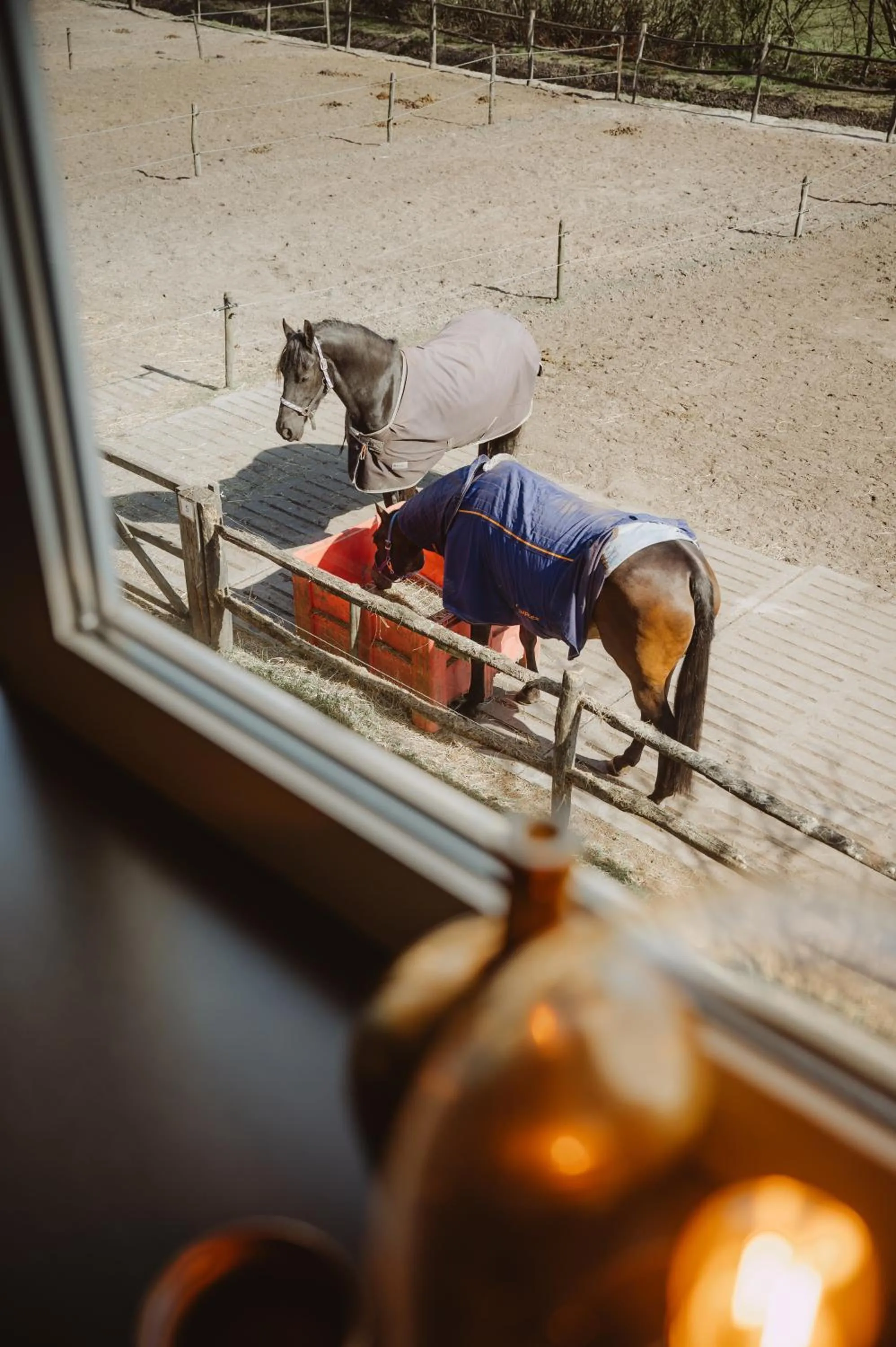 Hotel Restaurant D'n Dries