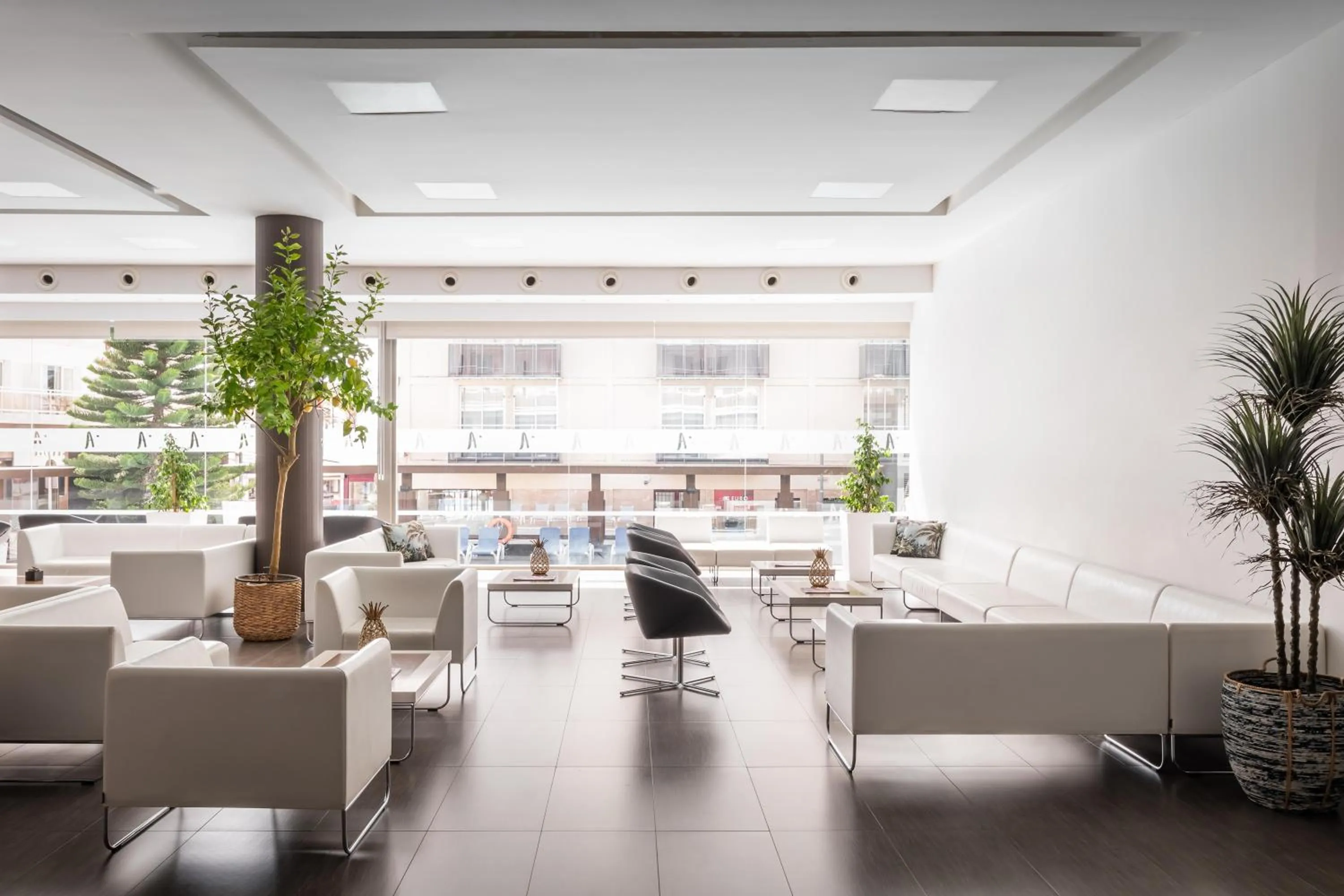 Lobby or reception in ALEGRIA Mariner Adults Only