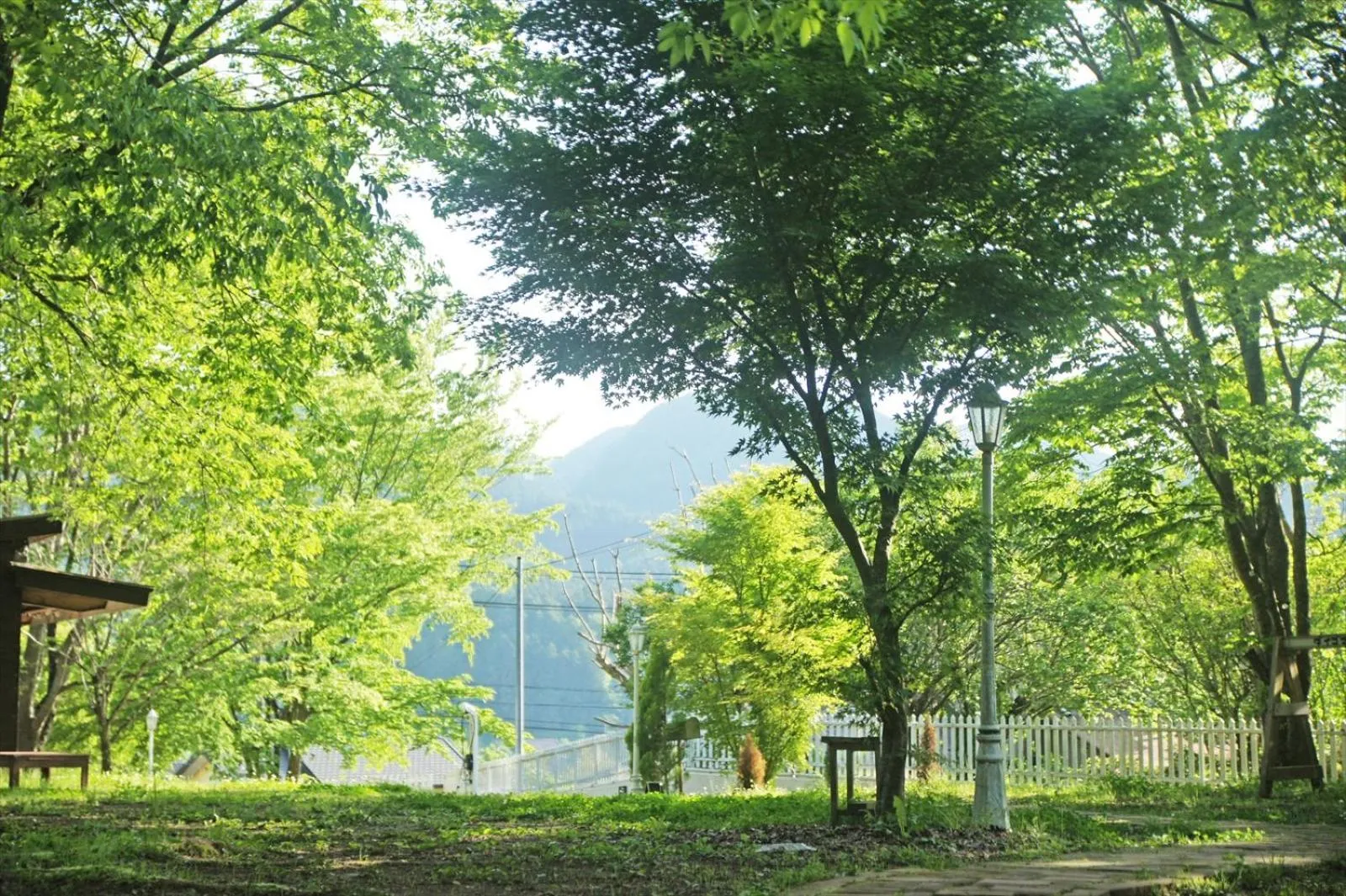 Garden view in Saku Cafe