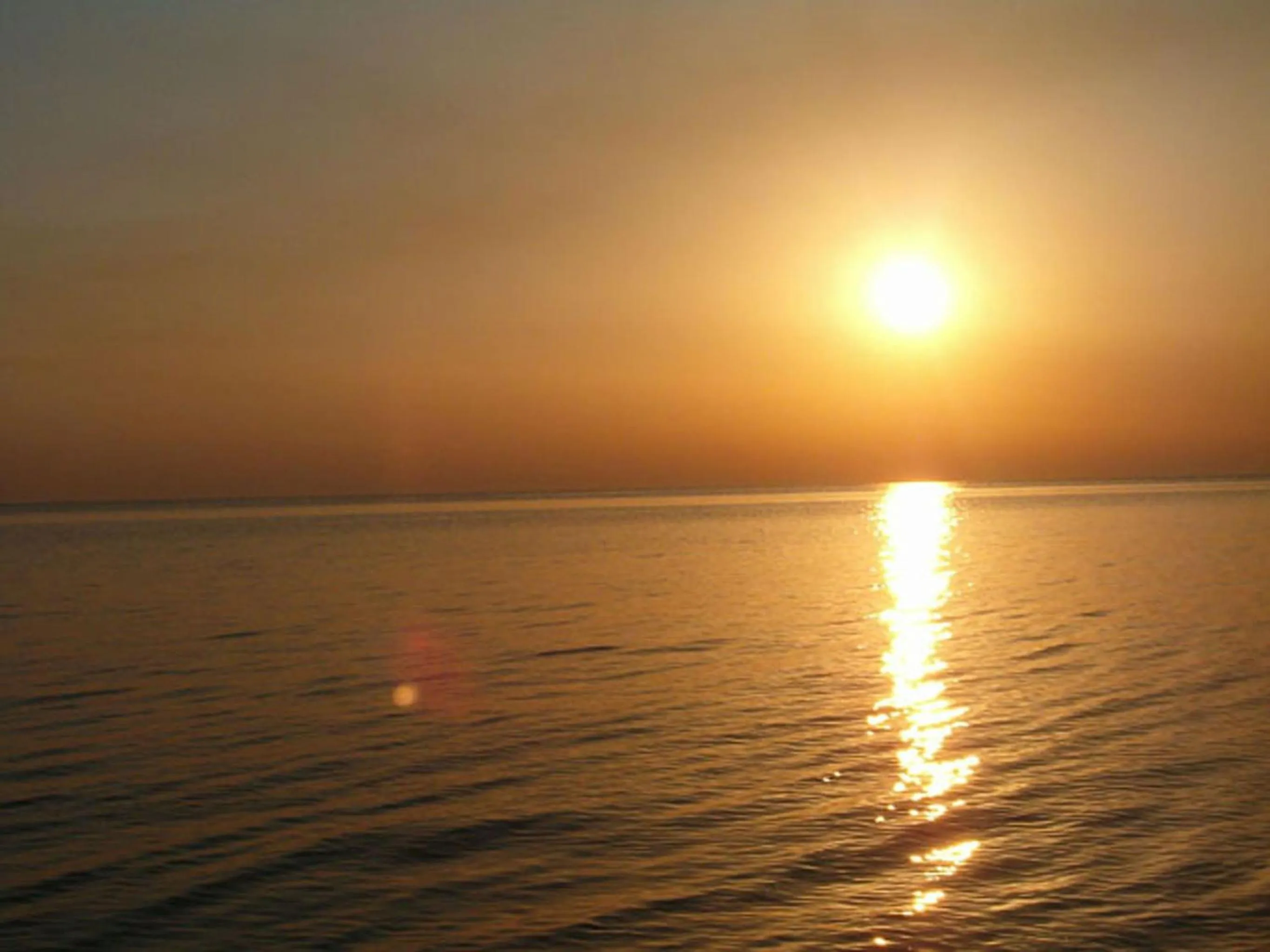 Beach in Il Falco e Il Gabbiano