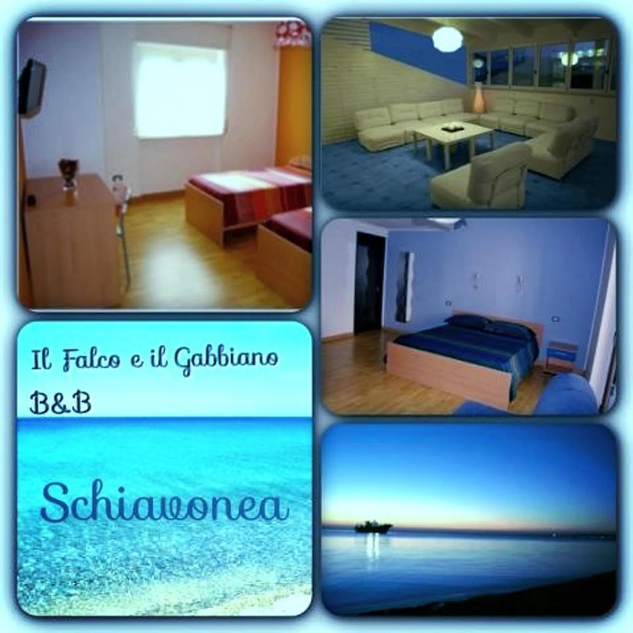 Other in Il Falco e Il Gabbiano